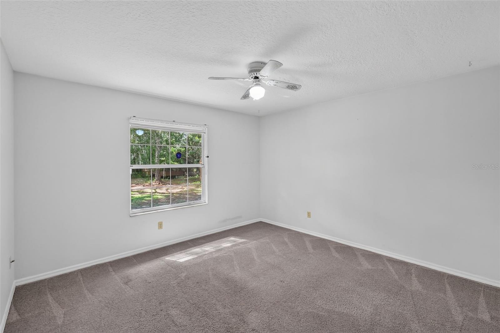 37130 County Road 439 Property Photo 31