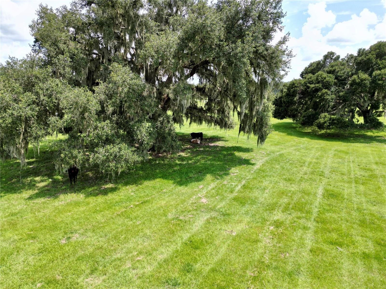 0 W C-478 Property Photo 6