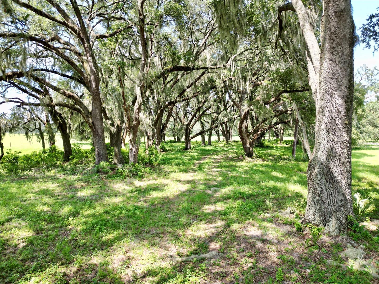 00 C-478 W Property Photo 5
