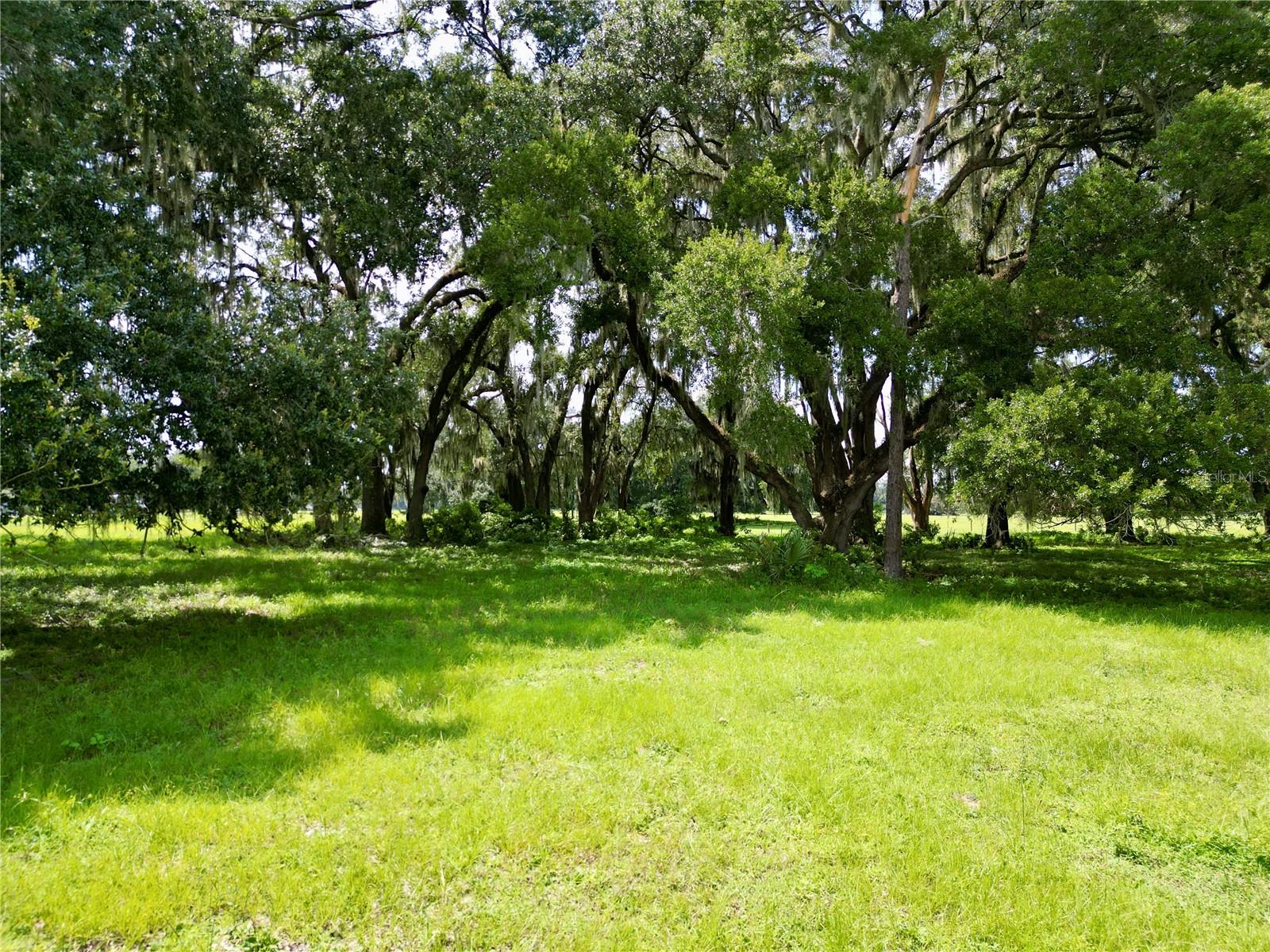 00 C-478 W Property Photo 22