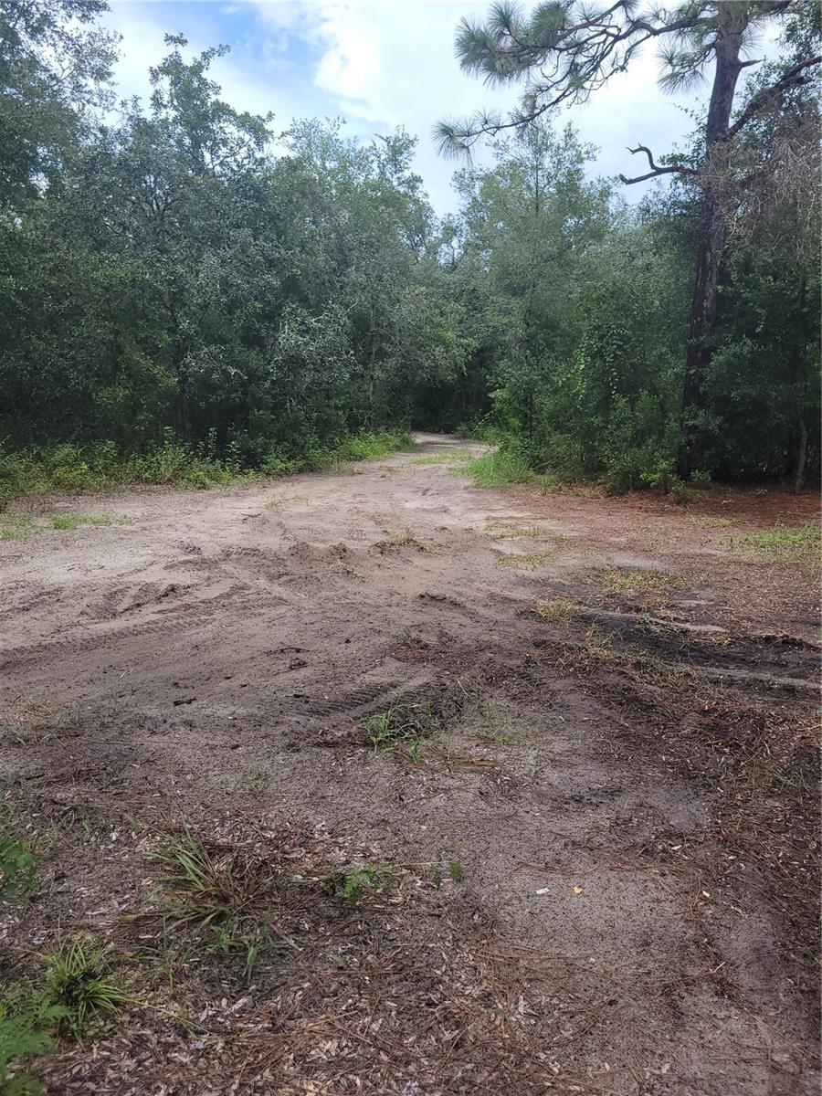 16518 Helen K Dr Property Photo 8