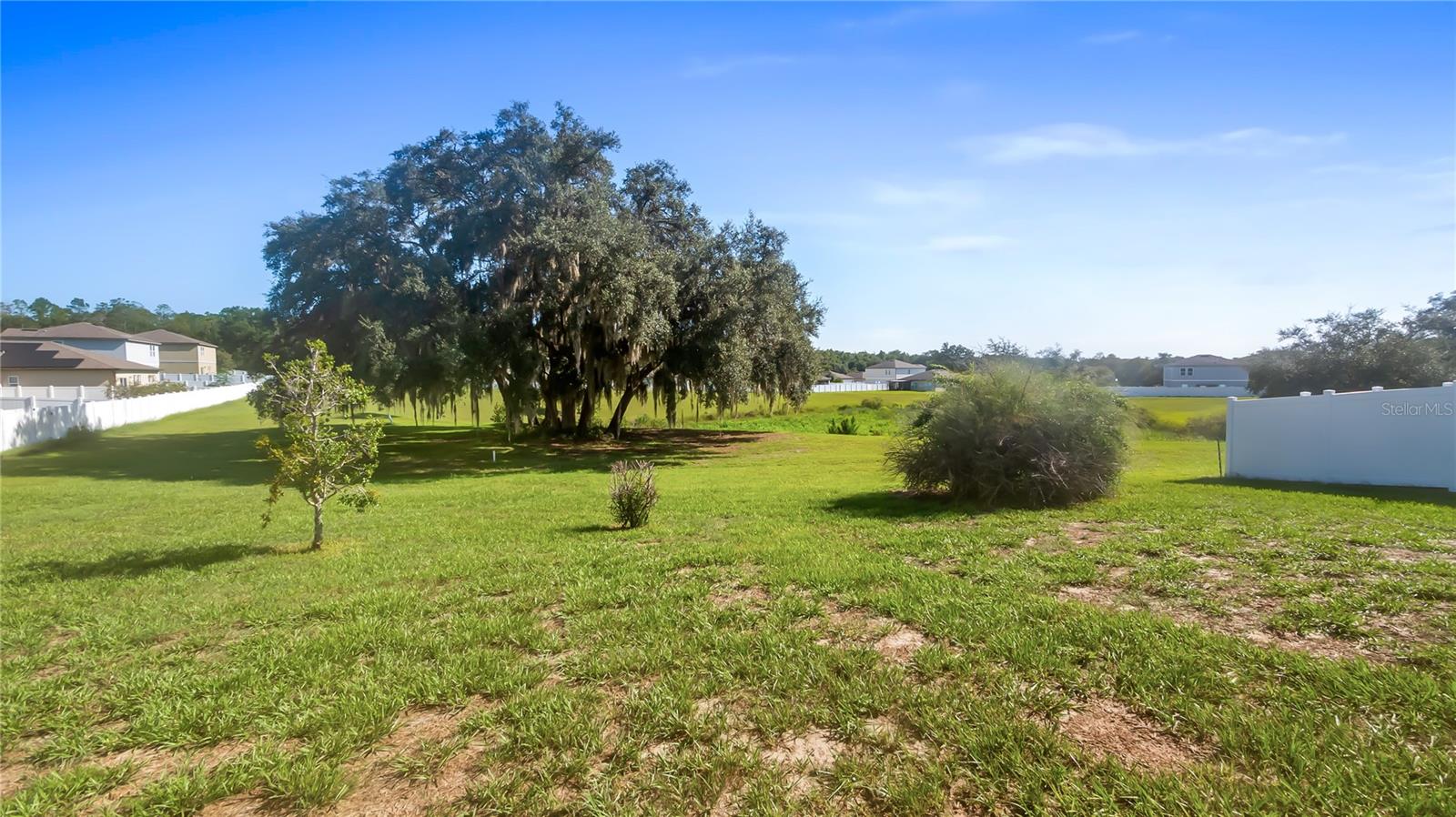15409 Ivory Gull Ln Property Photo 2