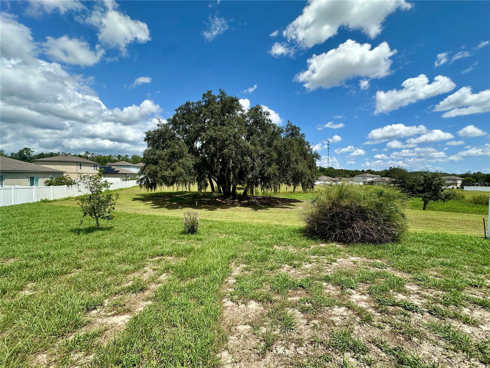 15409 Ivory Gull Ln Property Photo 22