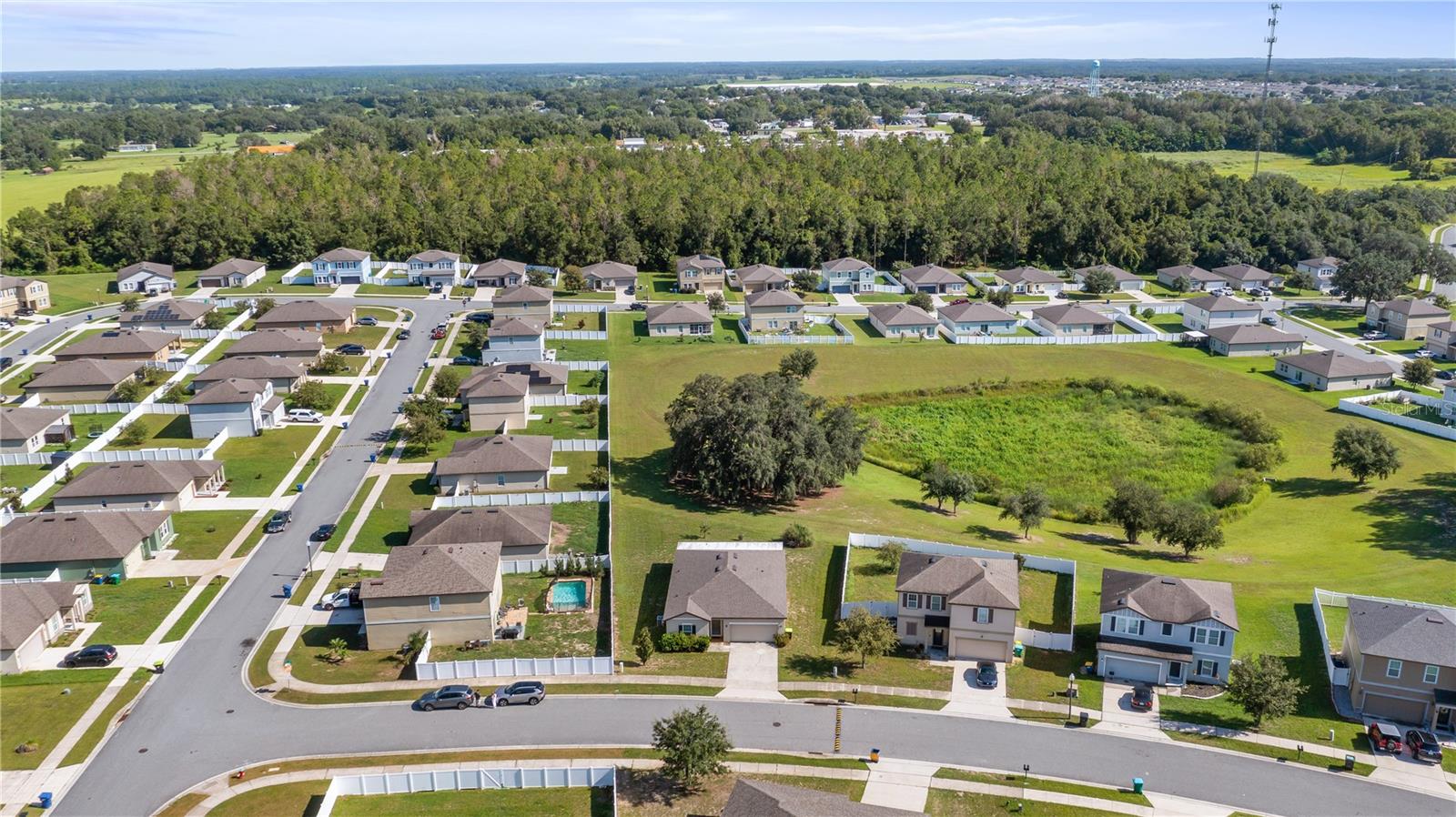 15409 Ivory Gull Ln Property Photo 33