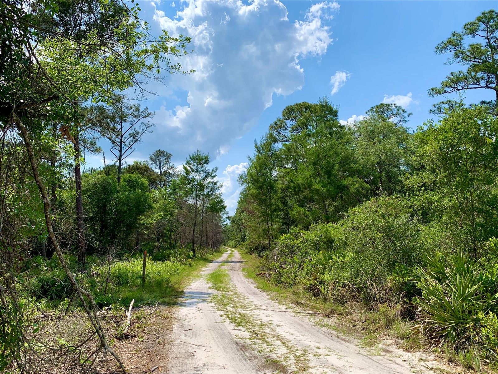 39627 Greenbrier St Property Photo 45