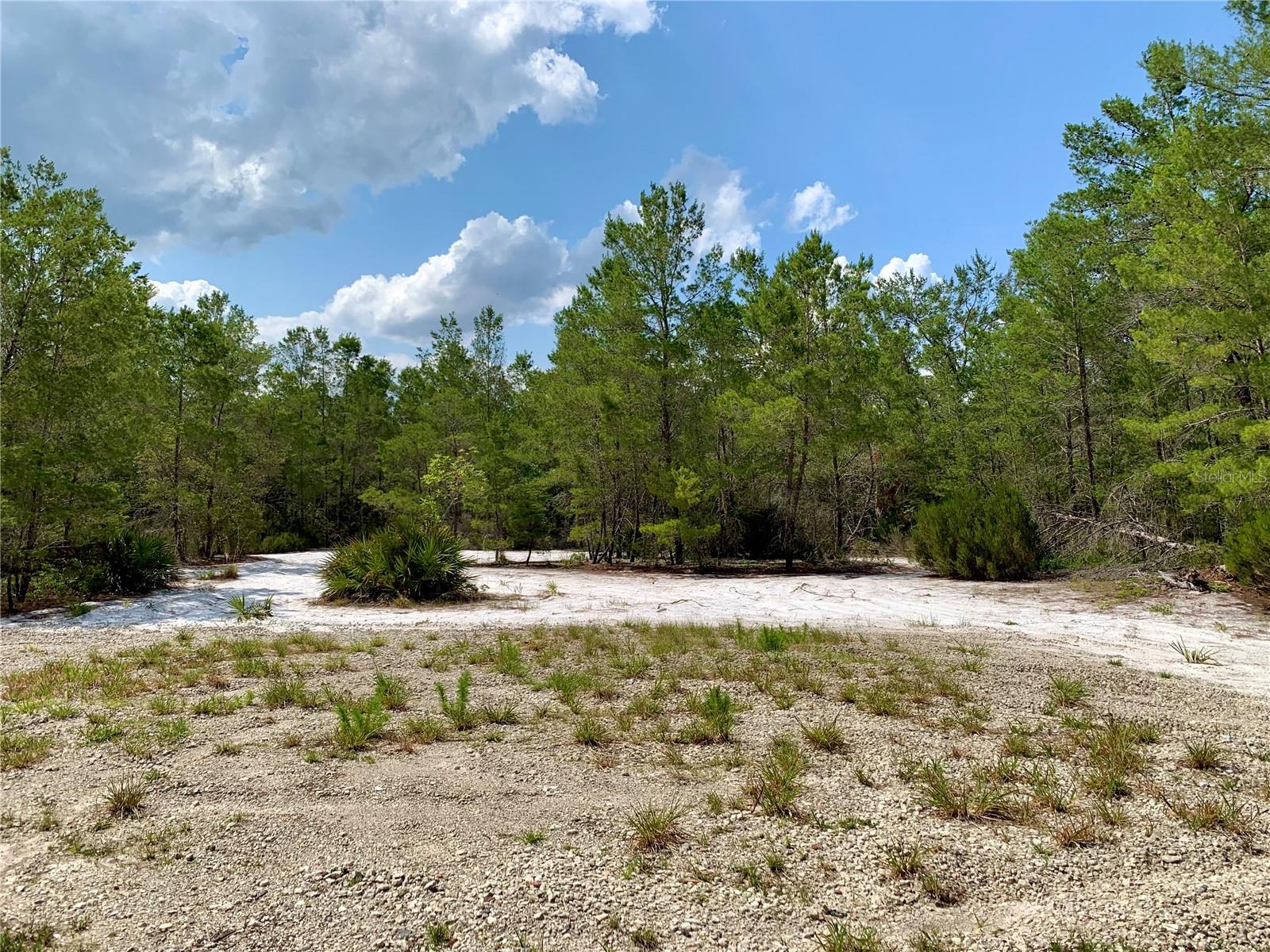 39627 Greenbrier St Property Photo 46