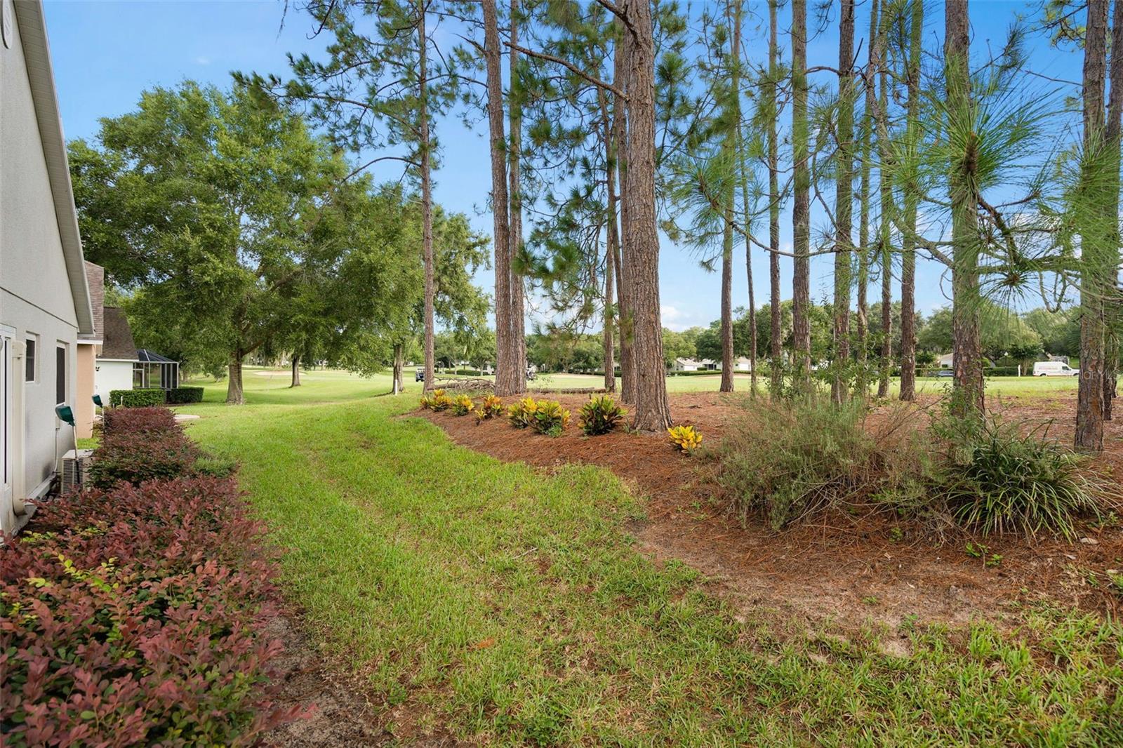 3821 Avon Ct Property Photo 3