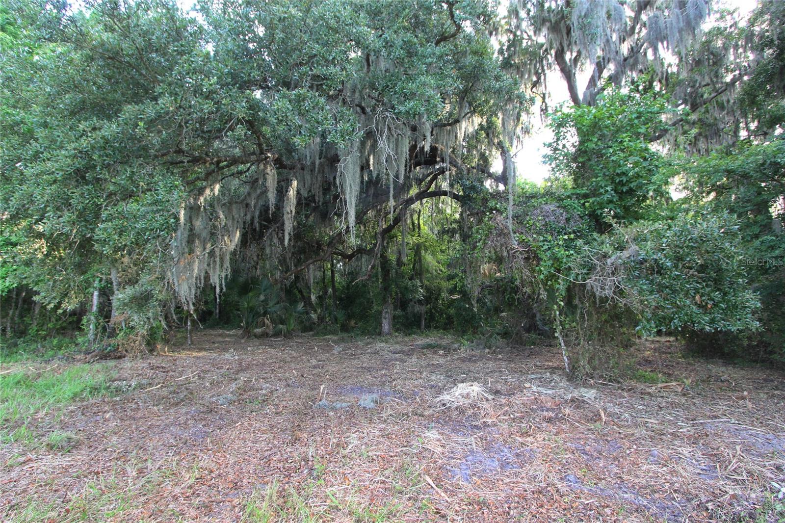 Tbd Cr 526 Property Photo 1