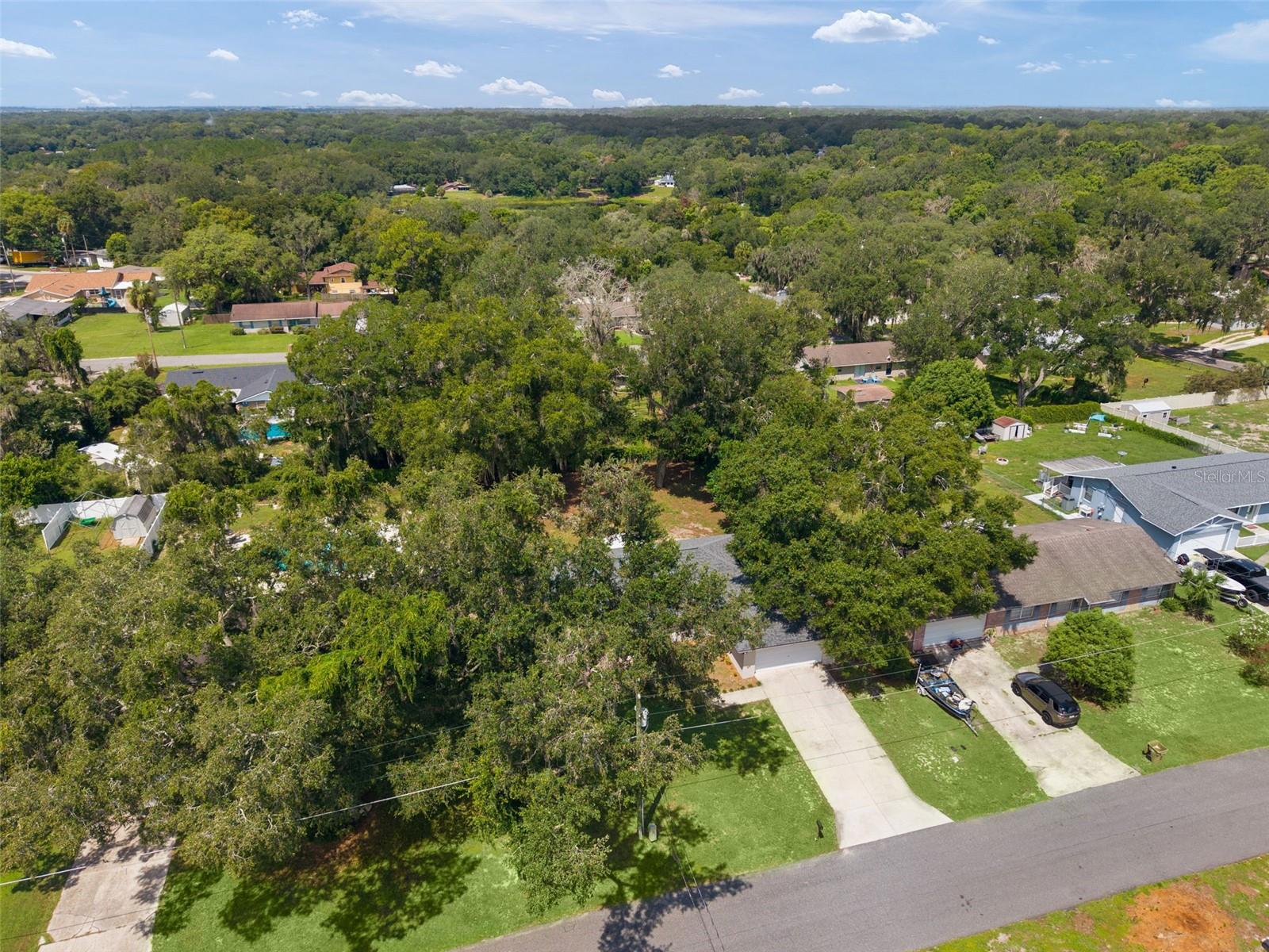 36127 Pine Tree St Property Photo 43