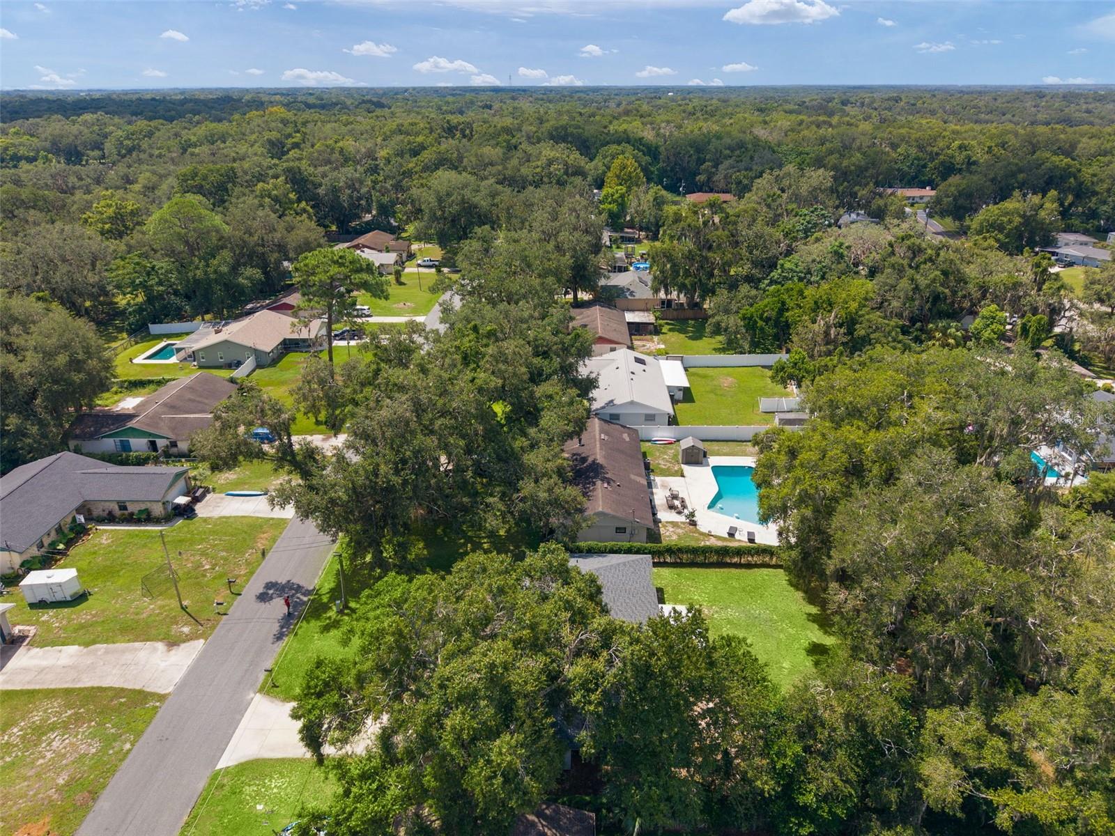 36127 Pine Tree St Property Photo 45