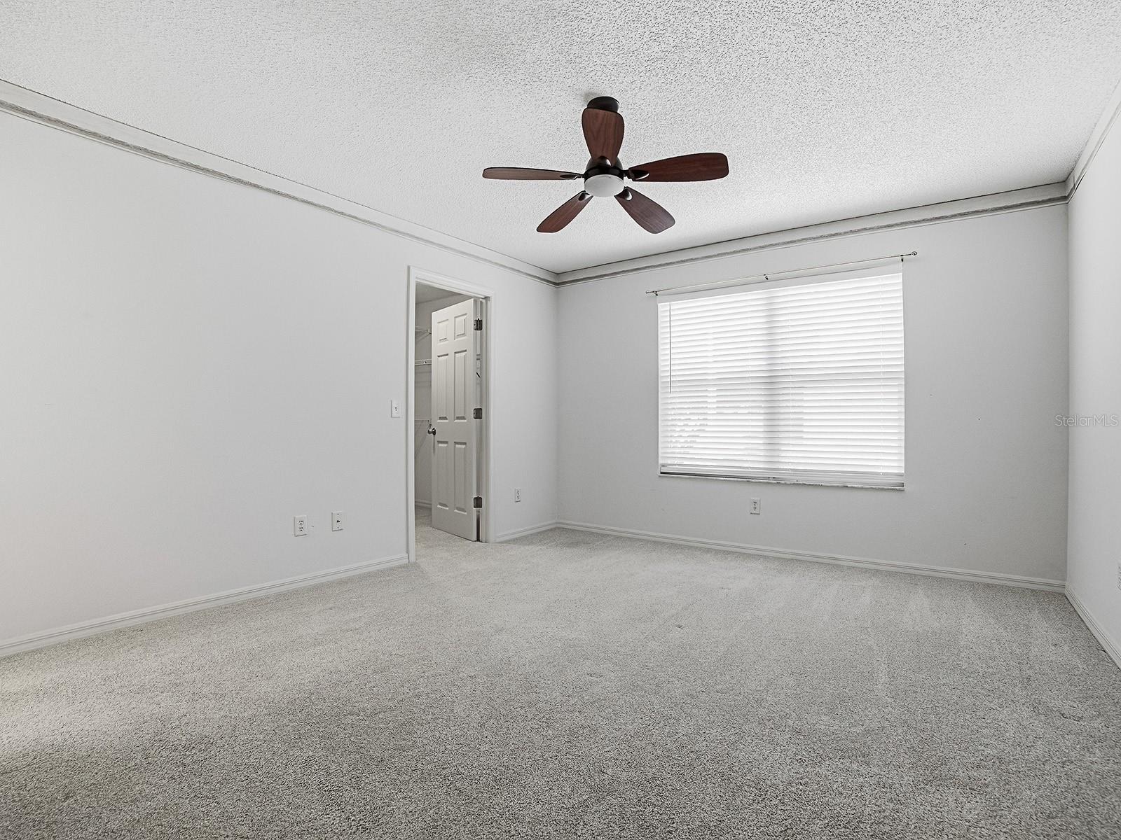 3170 Williams Rd Property Photo 24