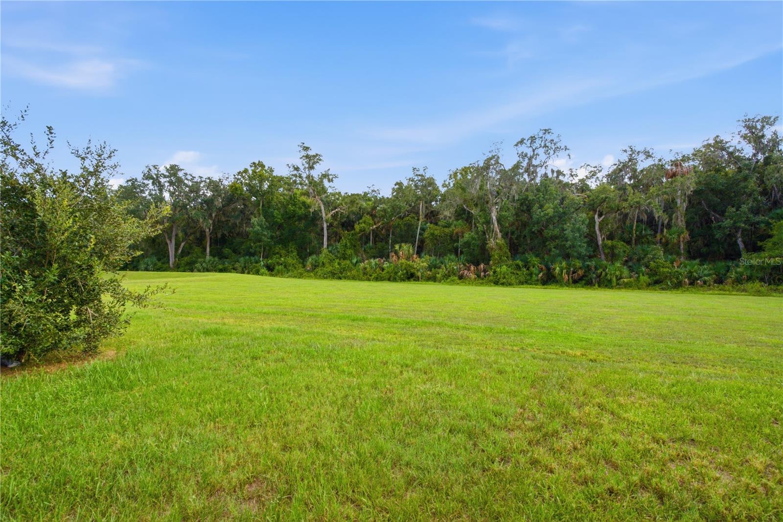 20043 Royal Tern Ct Property Photo 49
