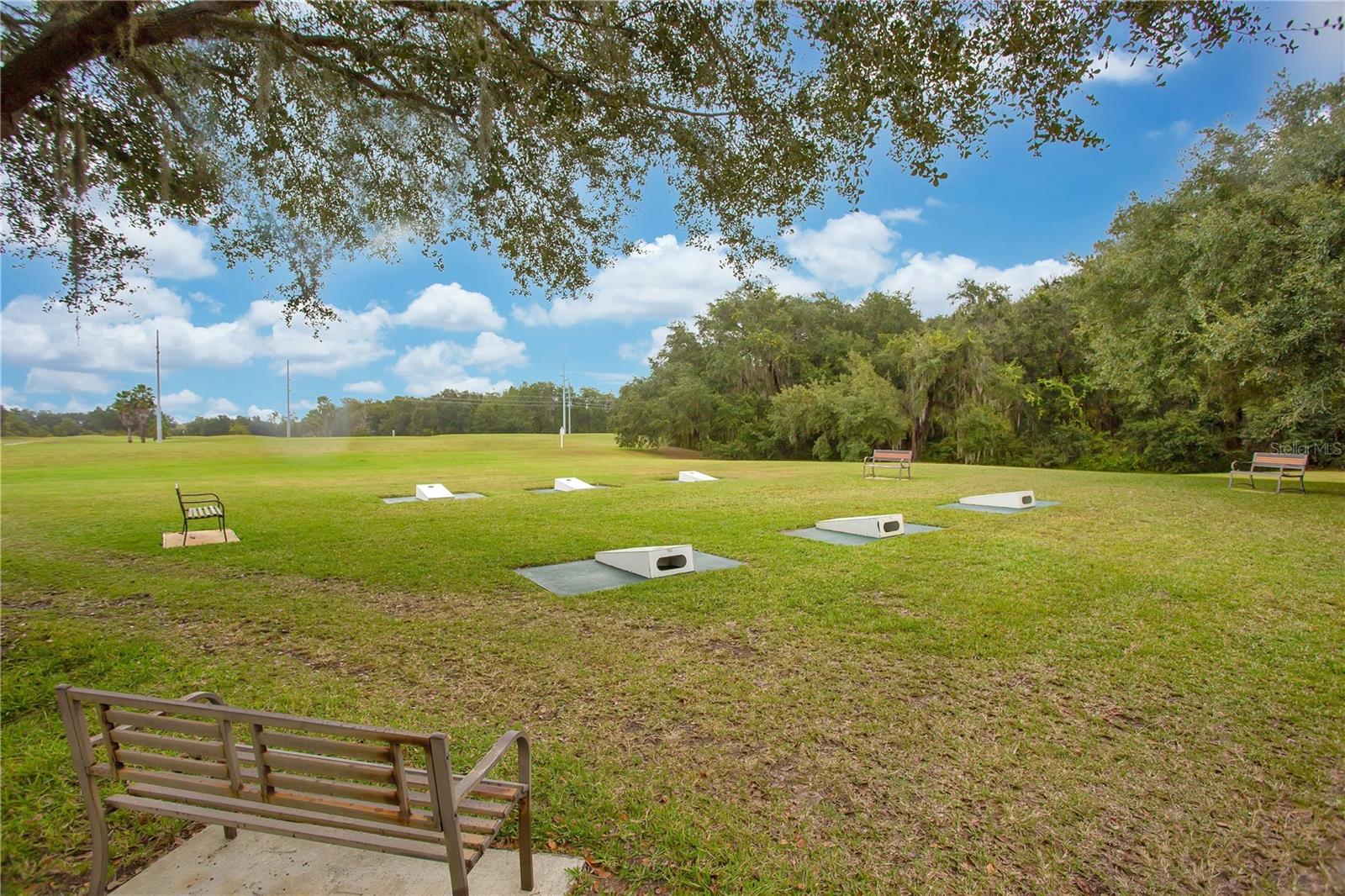 32901 Enchanted Oaks Lane Property Photo 46
