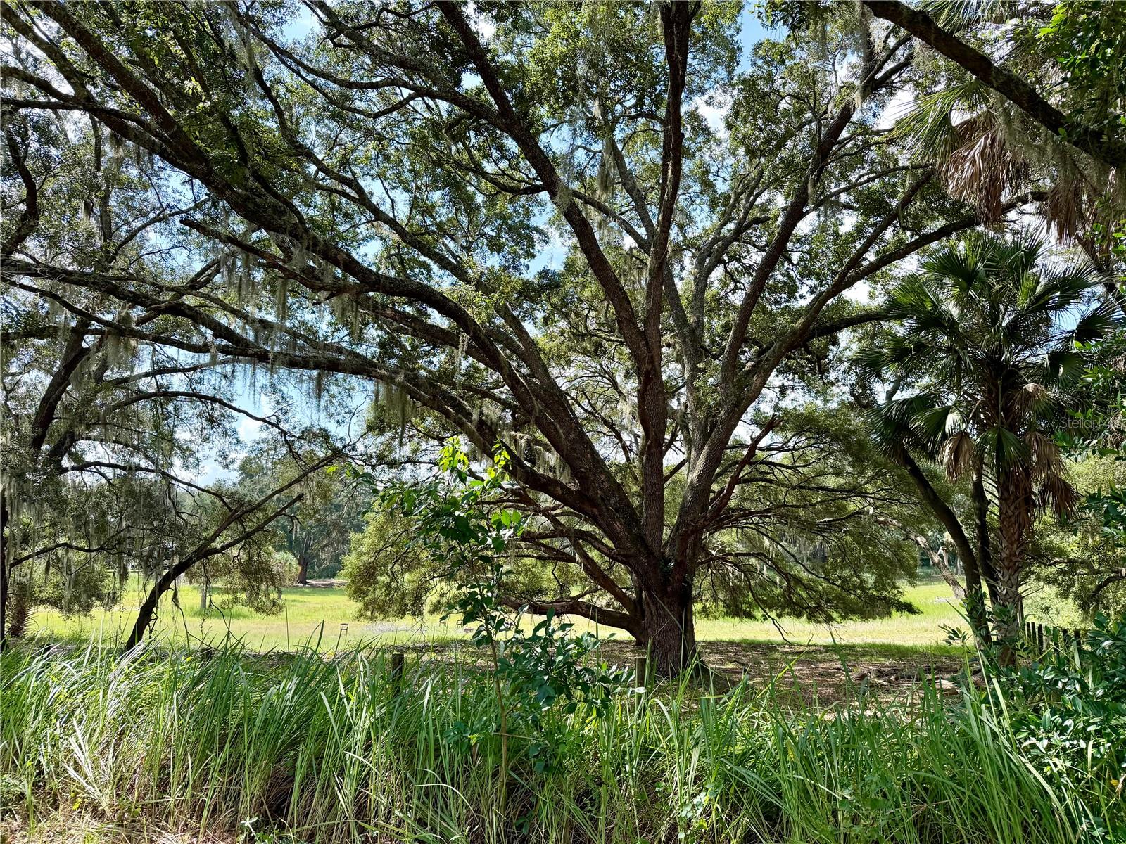 11324 Em En El Grove Rd Property Photo 4