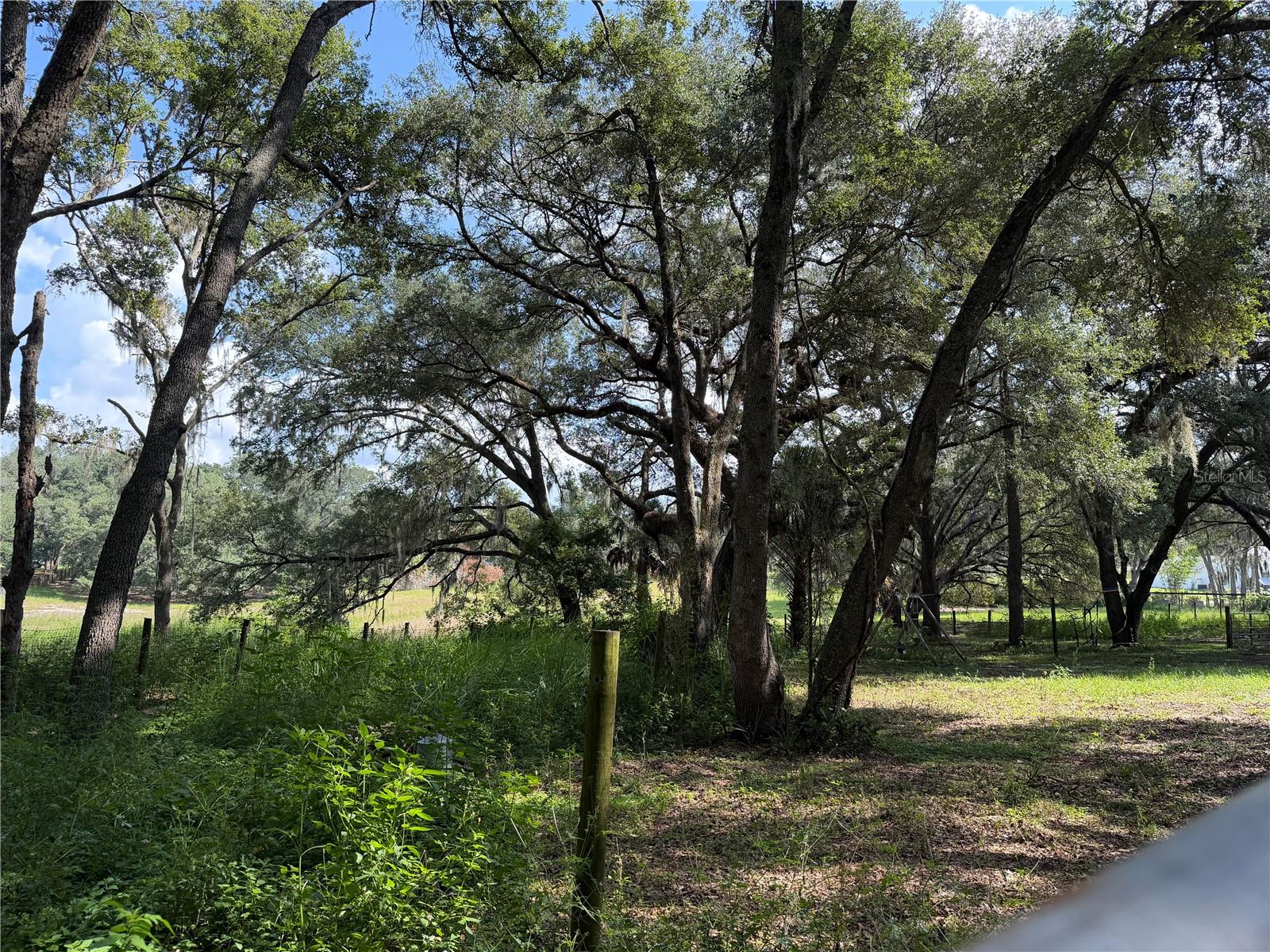 11324 Em En El Grove Rd Property Photo 7