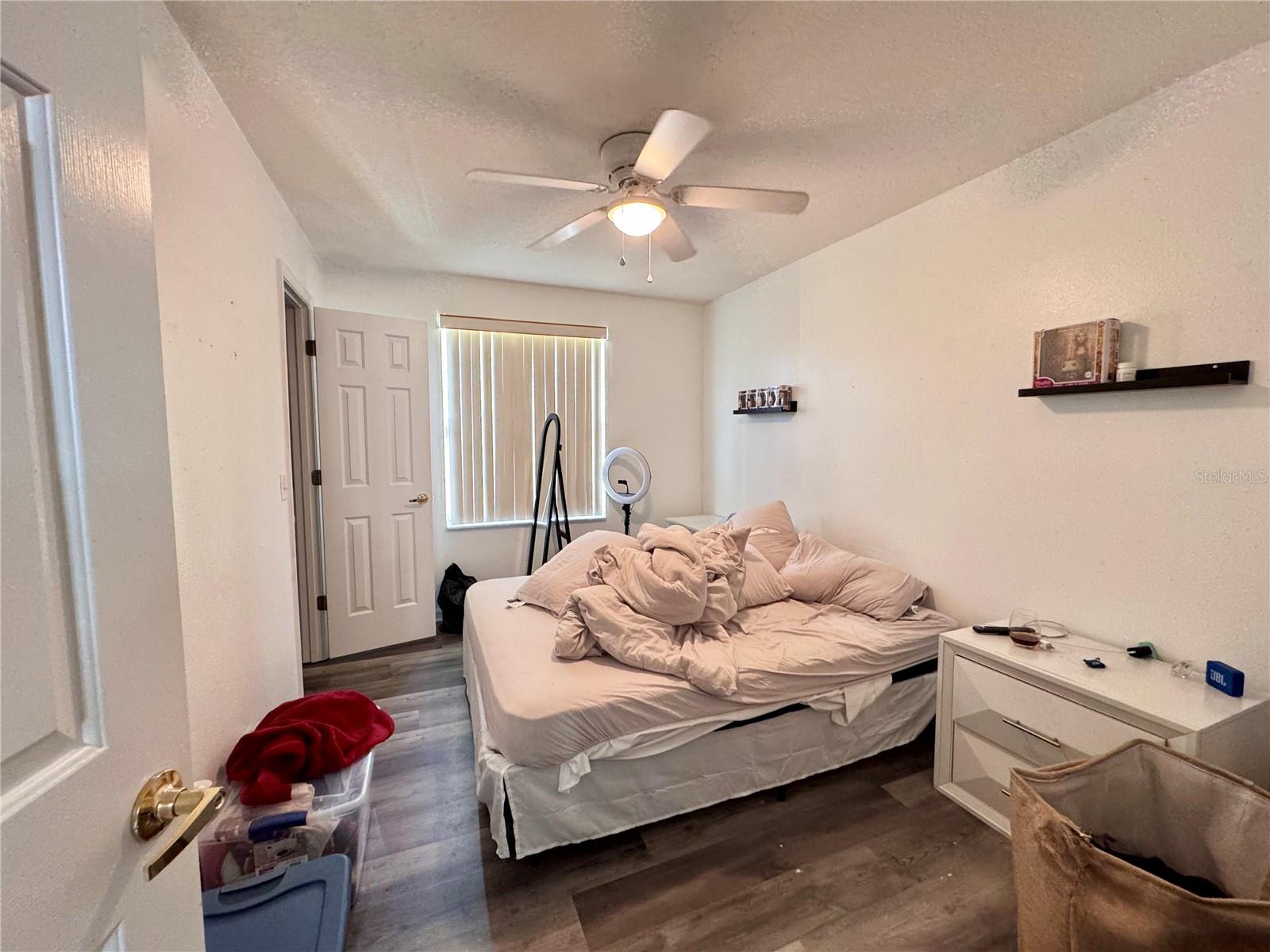 439 Coconut Palm Way Property Photo 22