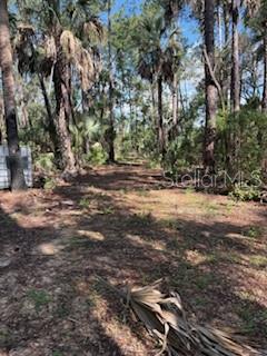 37610 Oaklee Rd Property Photo 4