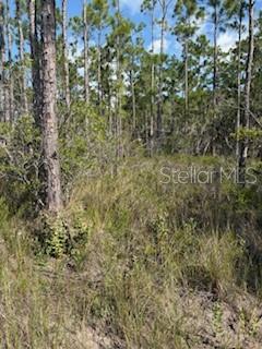 37610 Oaklee Rd Property Photo 8