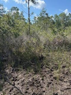 37610 Oaklee Rd Property Photo 10