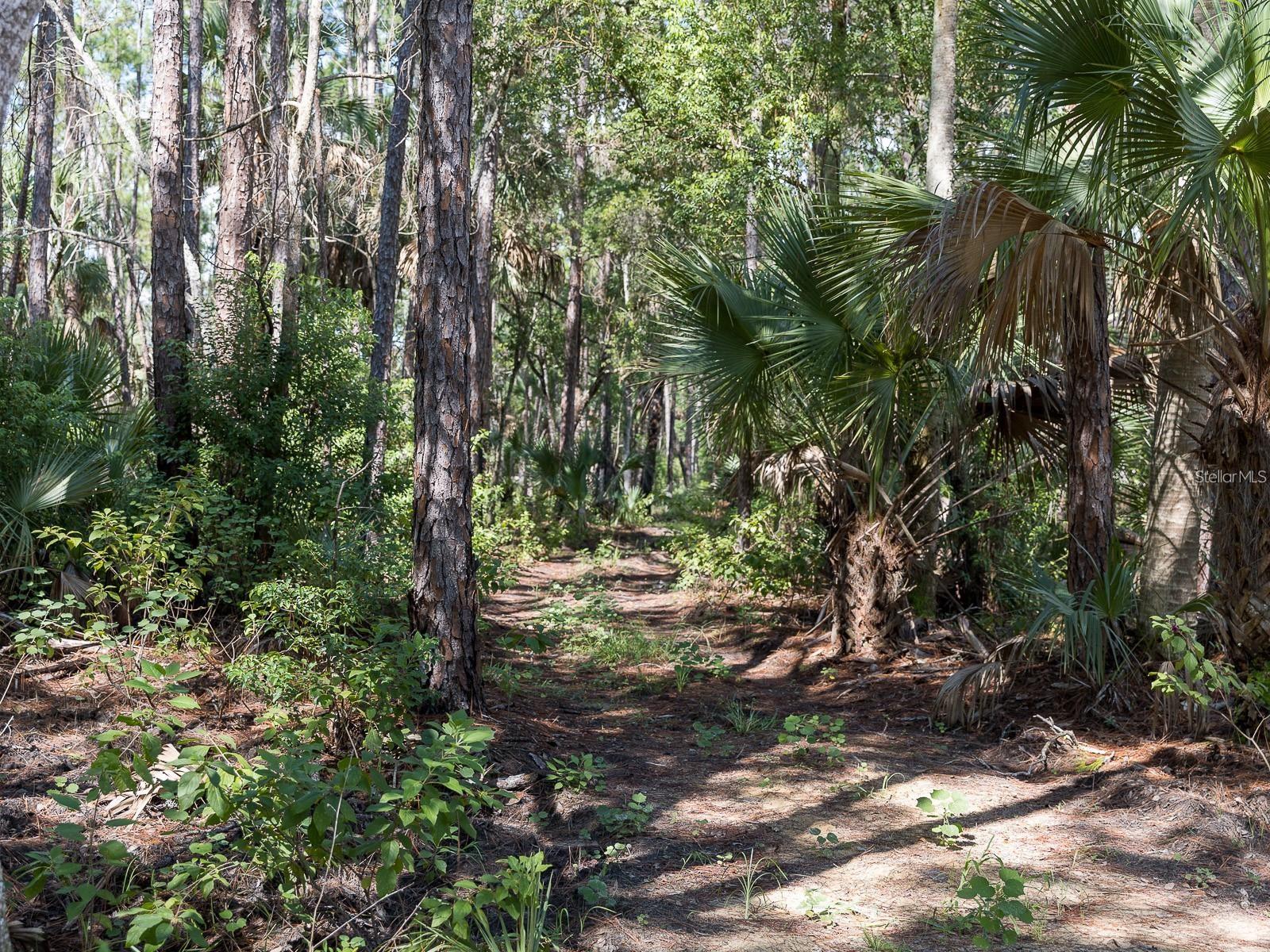 37610 Oaklee Rd Property Photo 13