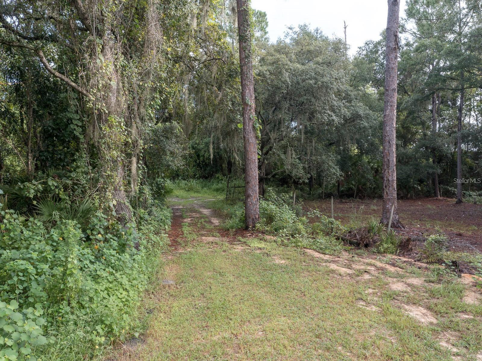 37610 Oaklee Rd Property Photo 14
