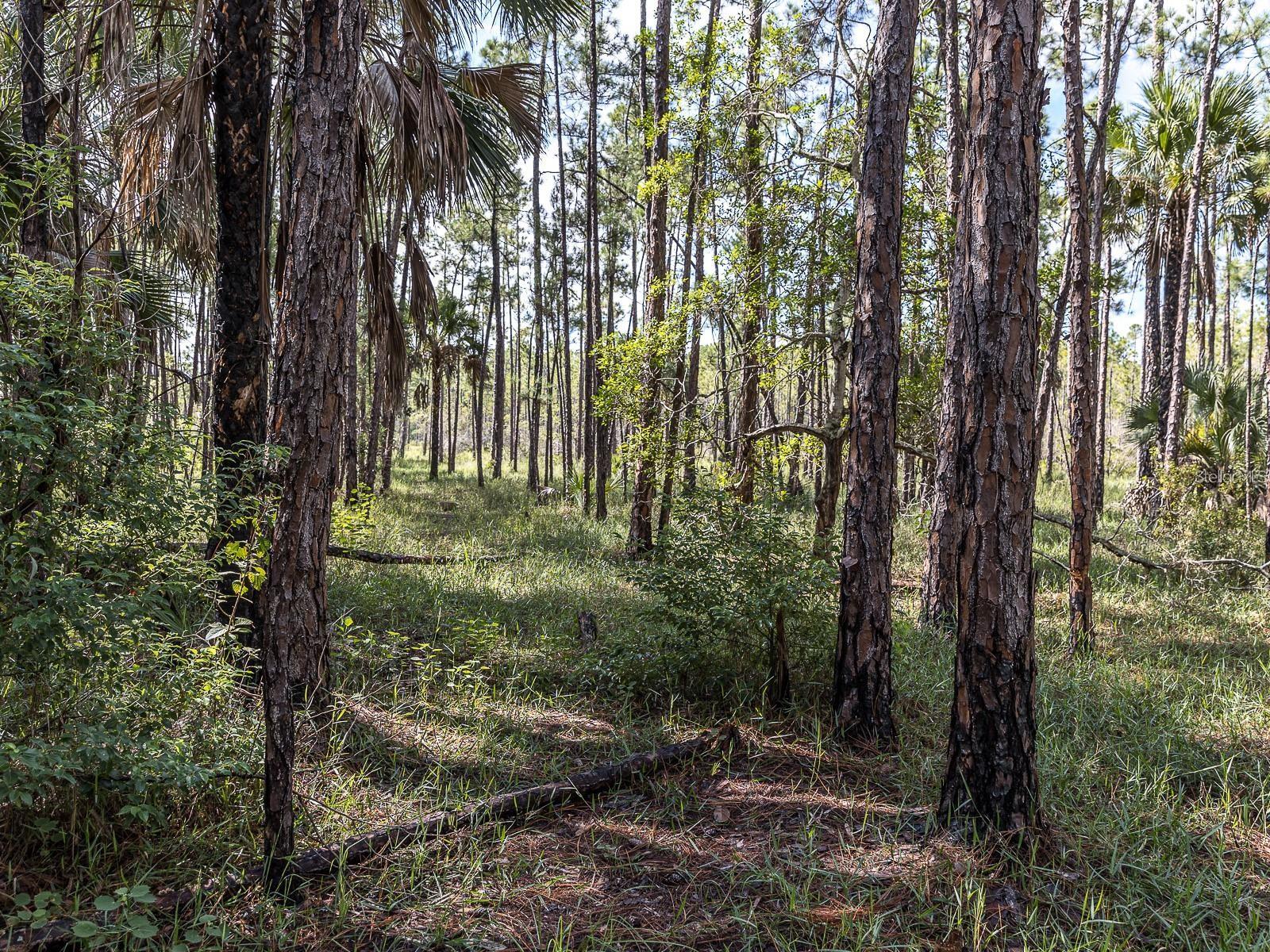 37610 Oaklee Rd Property Photo 16