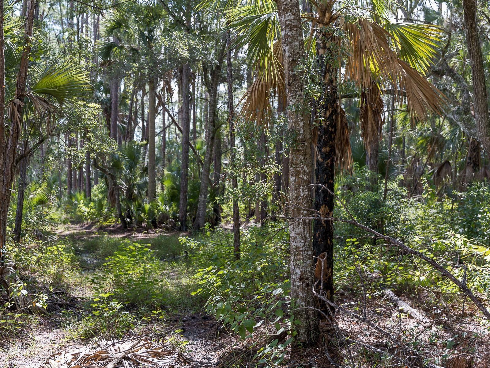 37610 Oaklee Rd Property Photo 18