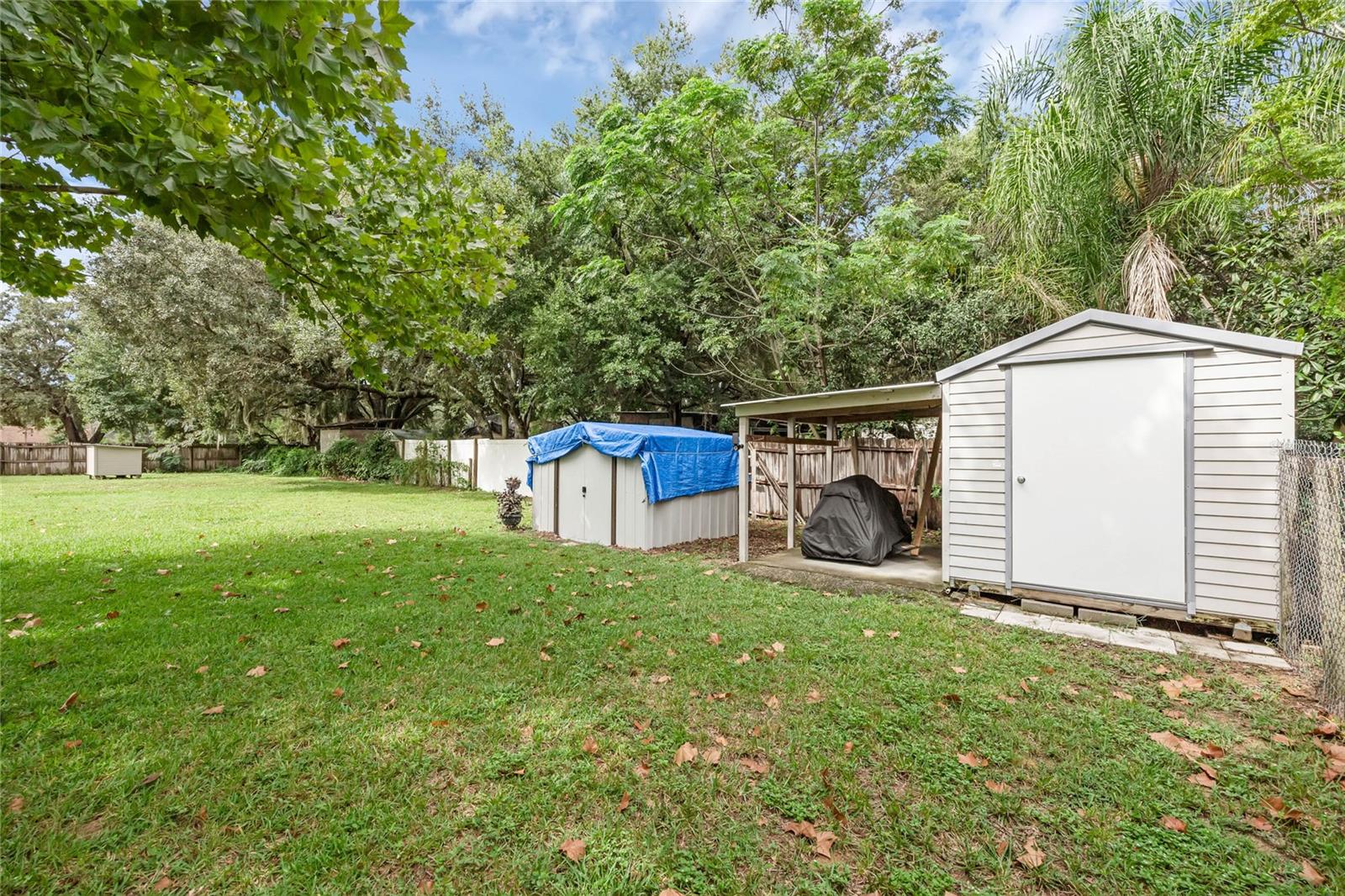 14438 Cr 561a Property Photo 30