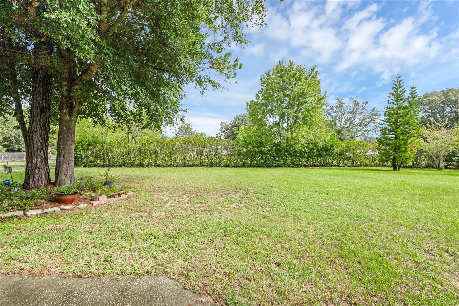 14438 Cr 561a Property Photo 34