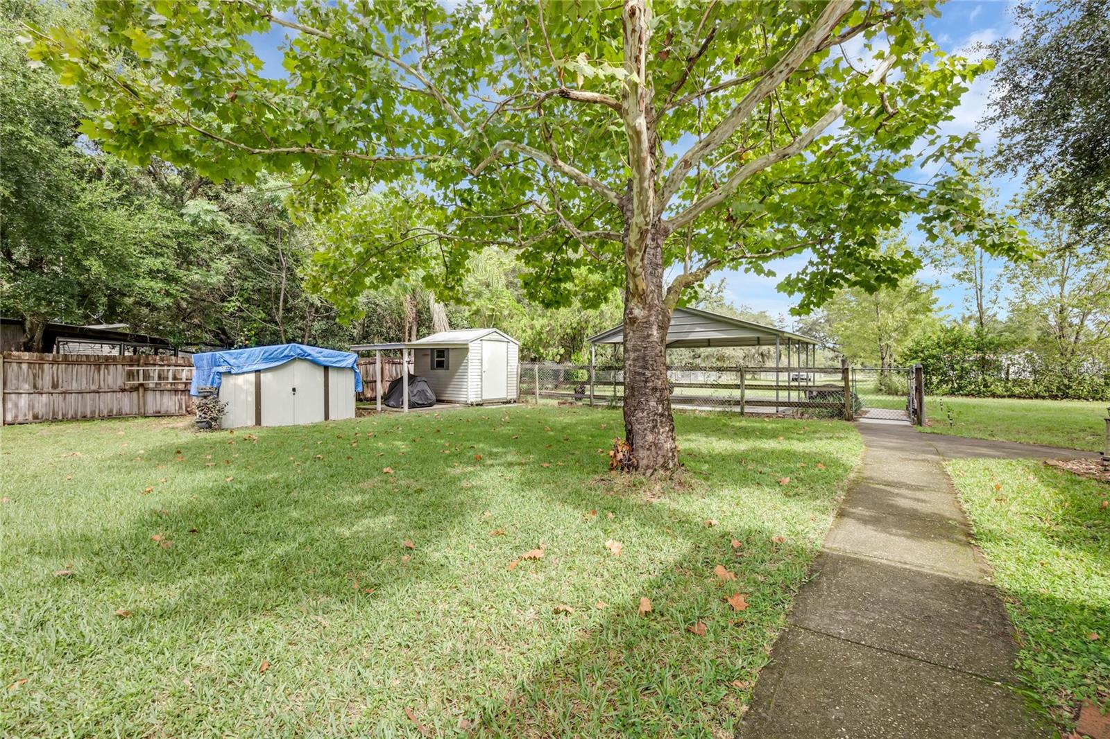 14438 Cr 561a Property Photo 37
