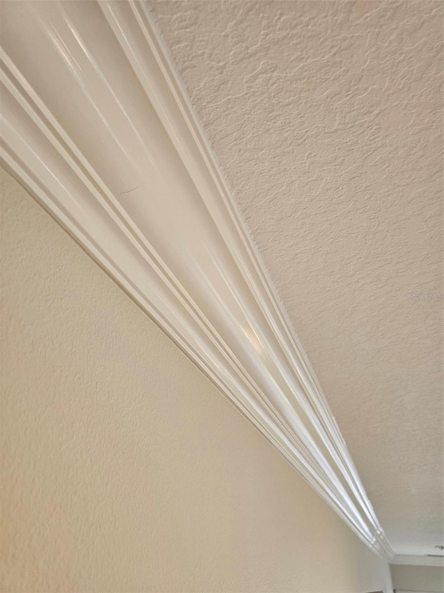 1130 Sayle St Property Photo 92