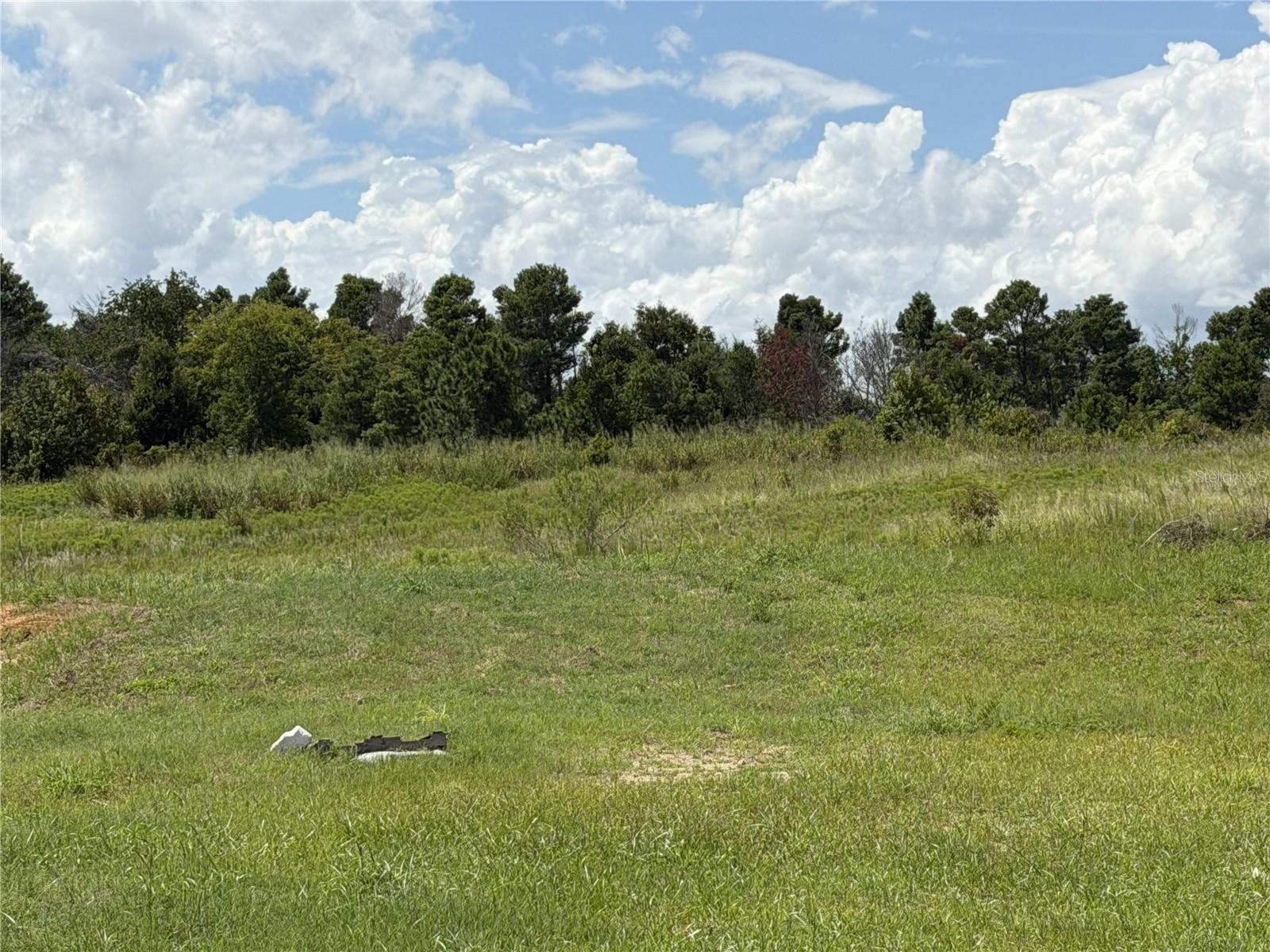 16813 Bolsena Dr Property Photo 1
