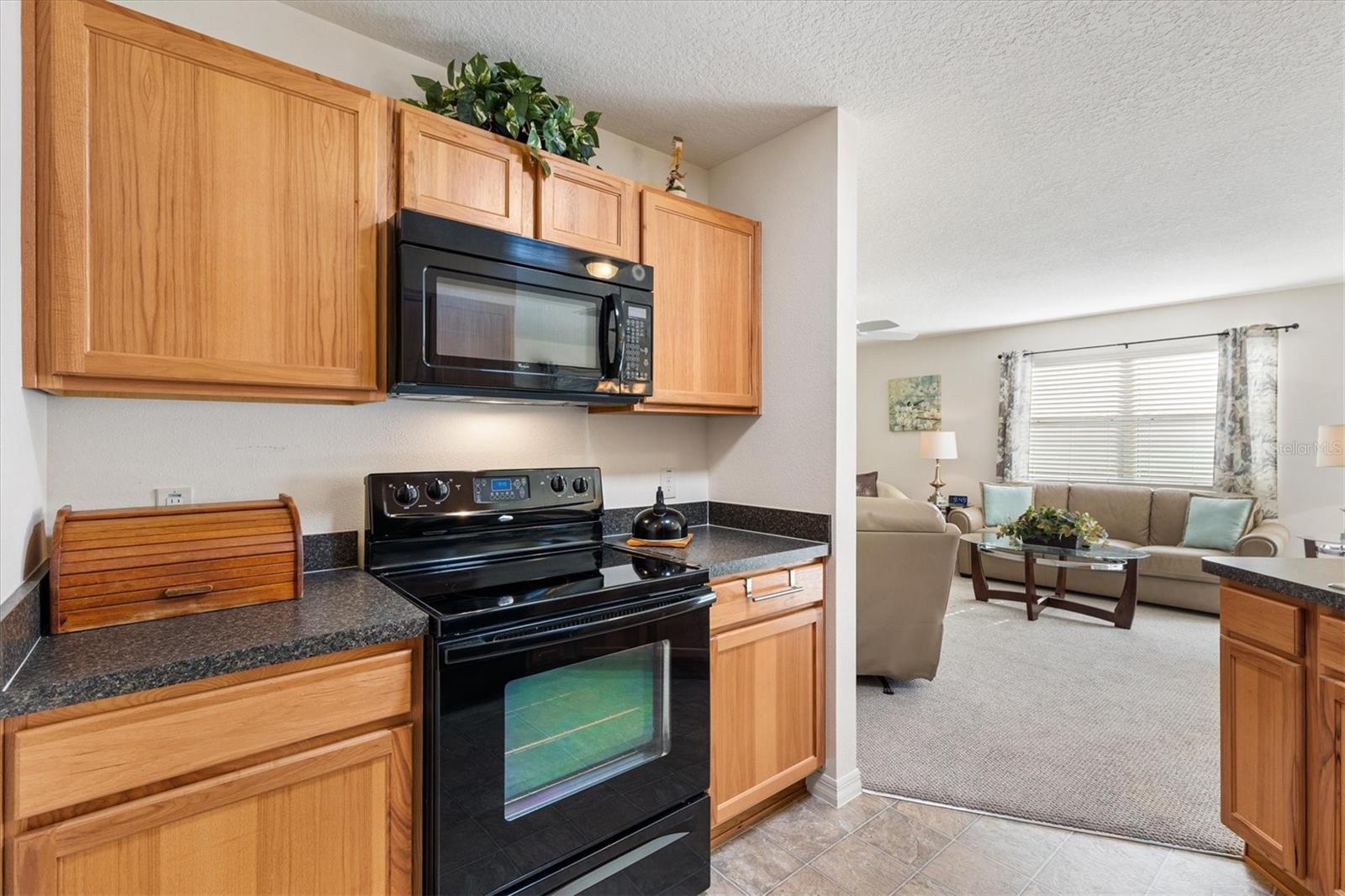 2015 Peaceful Pl Property Photo 10