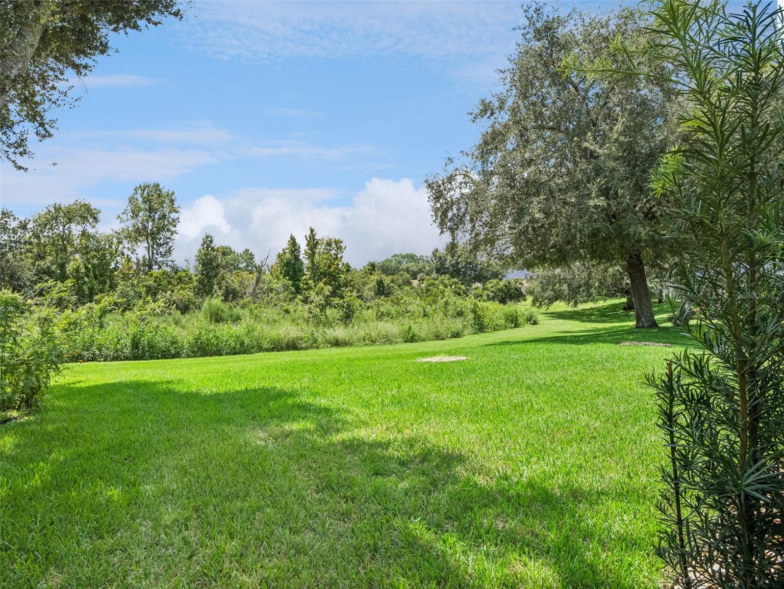 5602 Squires Dr Property Photo 29