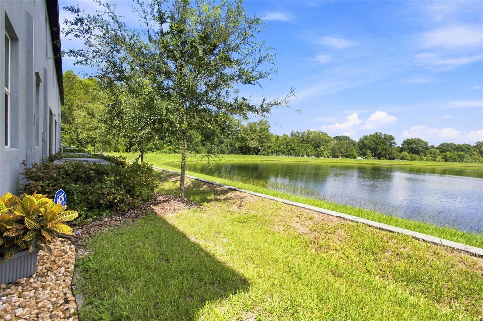 2213 Cerulean Sky Dr Property Photo 41