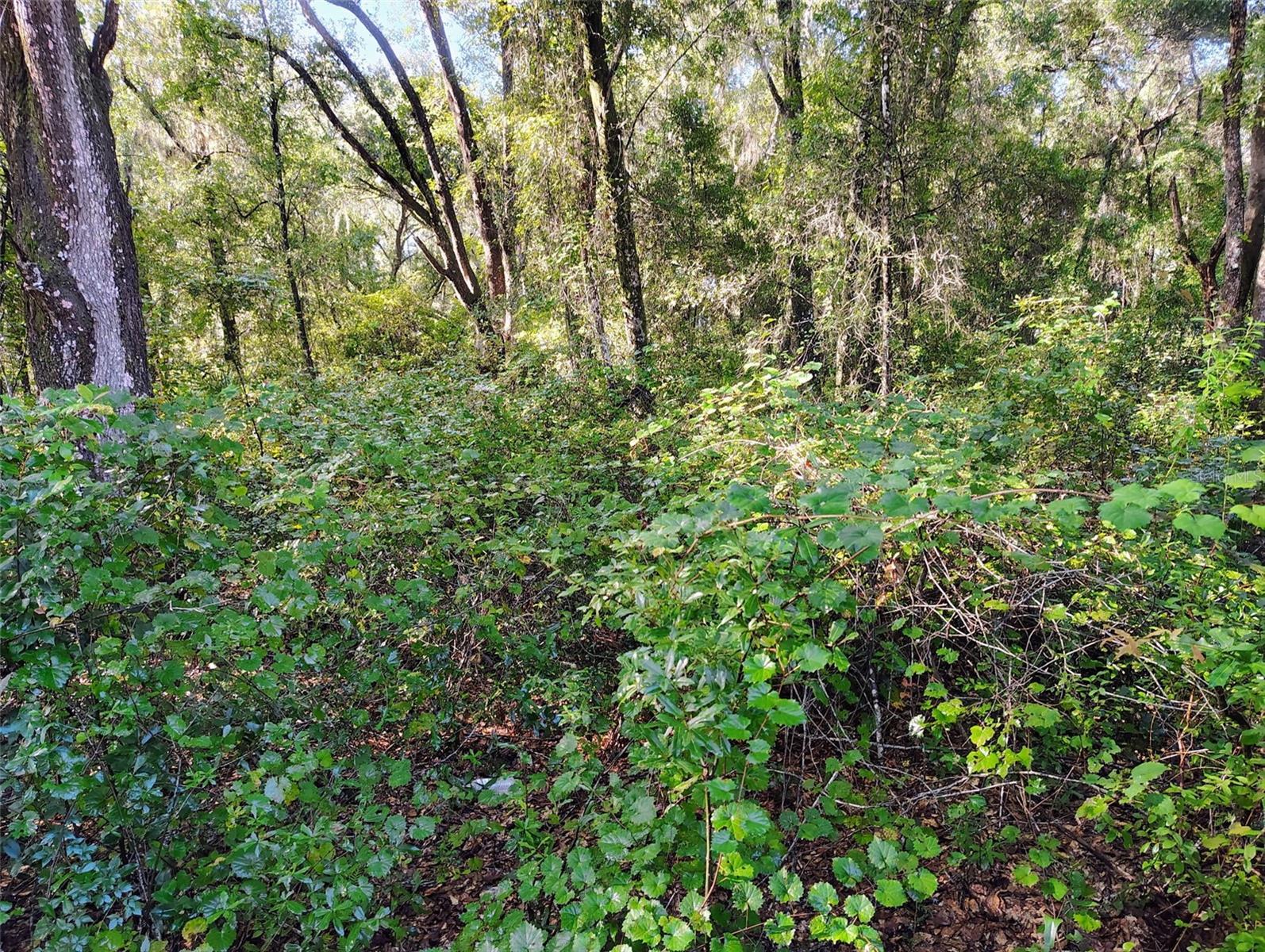 Sw 158th Ln Property Photo 2