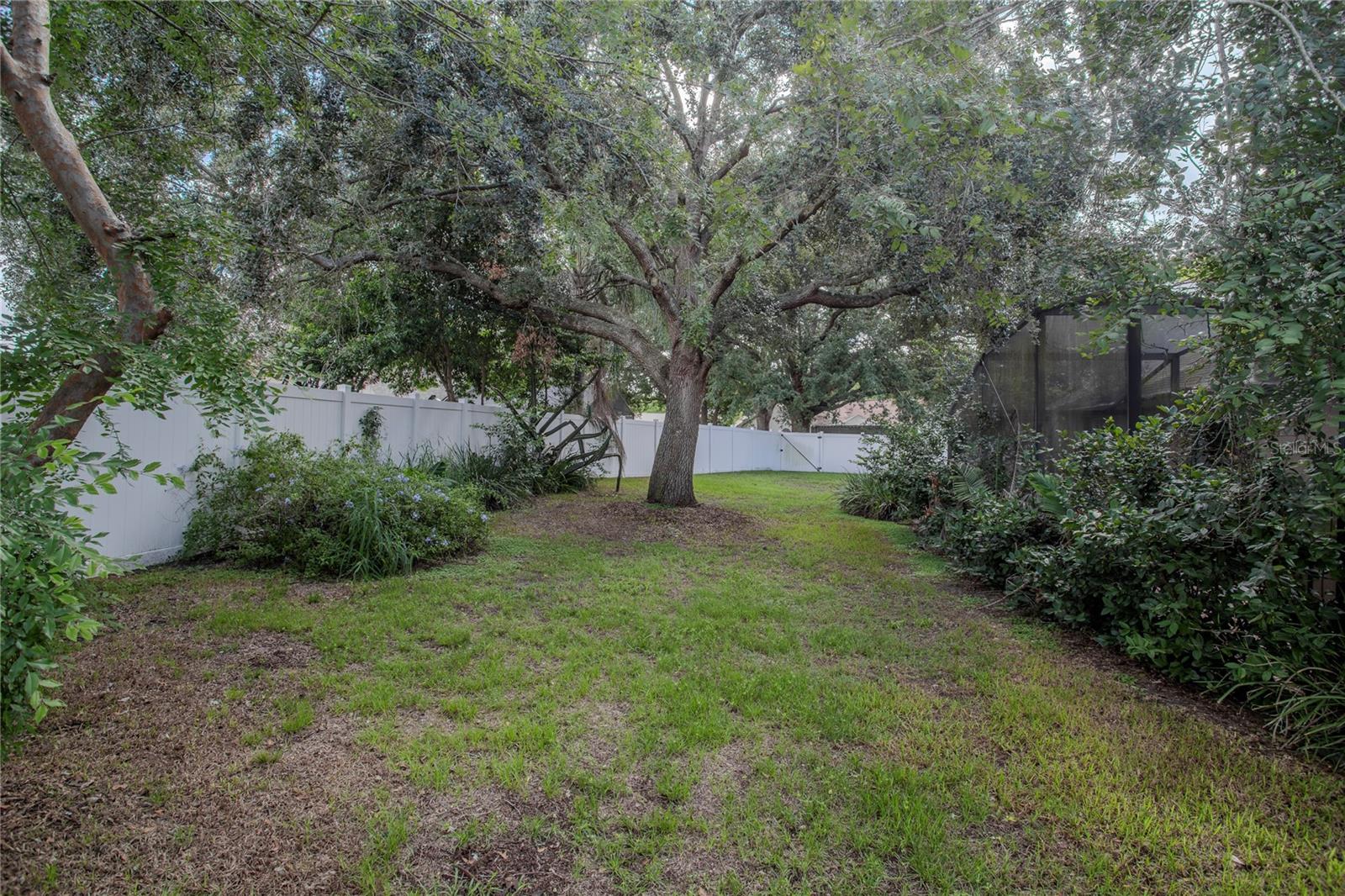 2579 Stardust Ave Property Photo 31