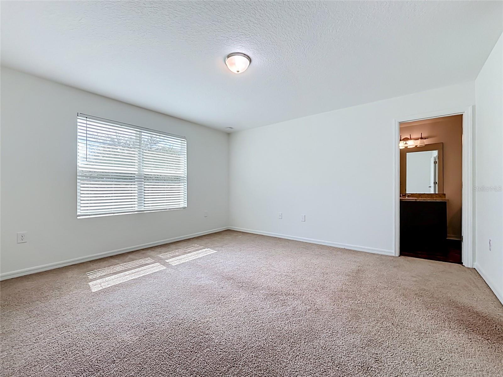 811 Grandin St Property Photo 14
