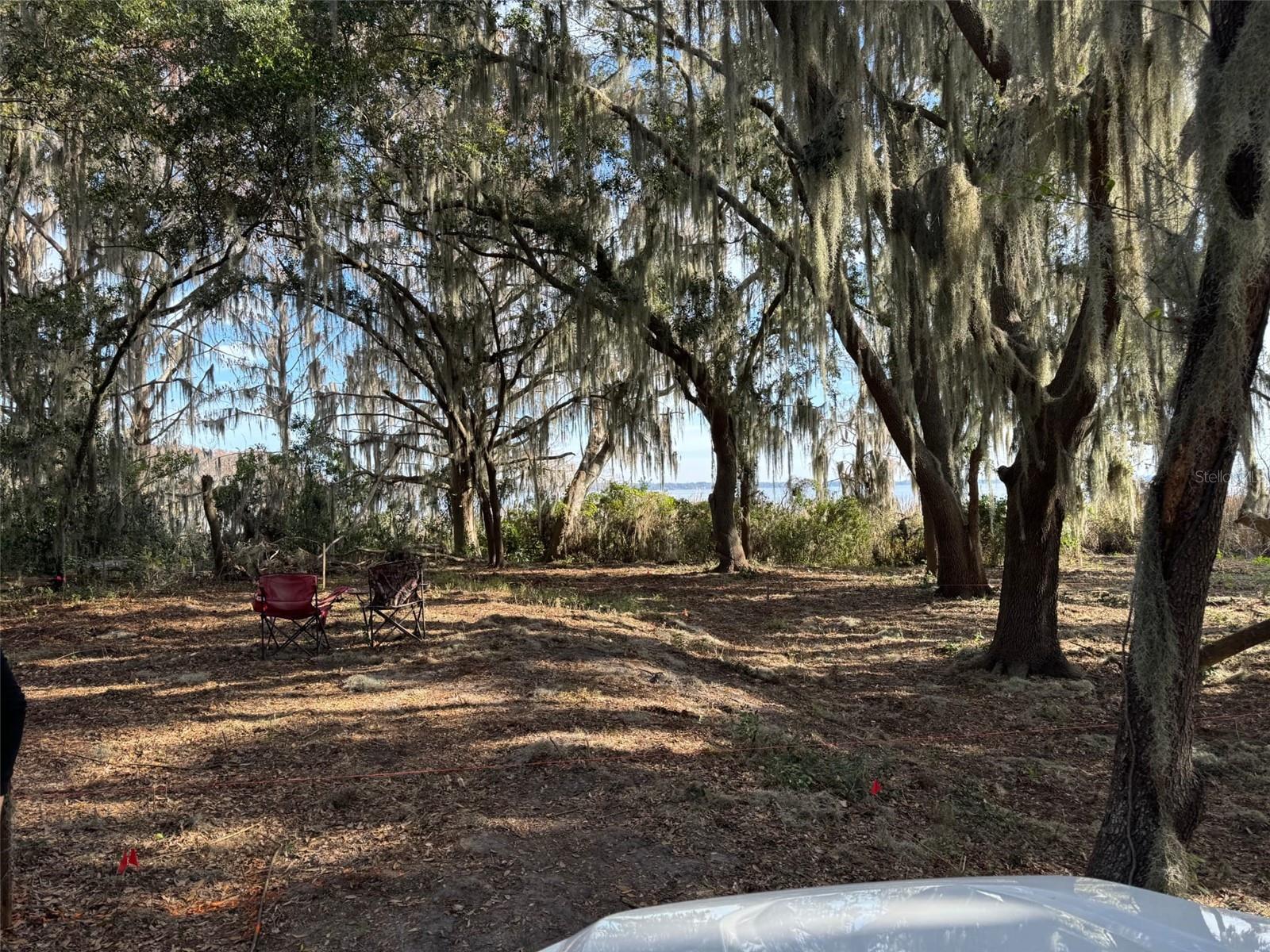 Ocklawaha Dr Property Photo 1