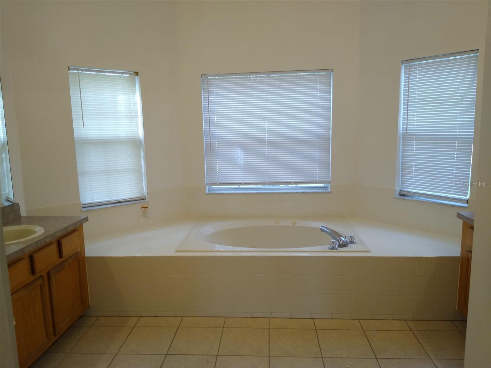 2911 Sweetspire Cir Property Photo 19