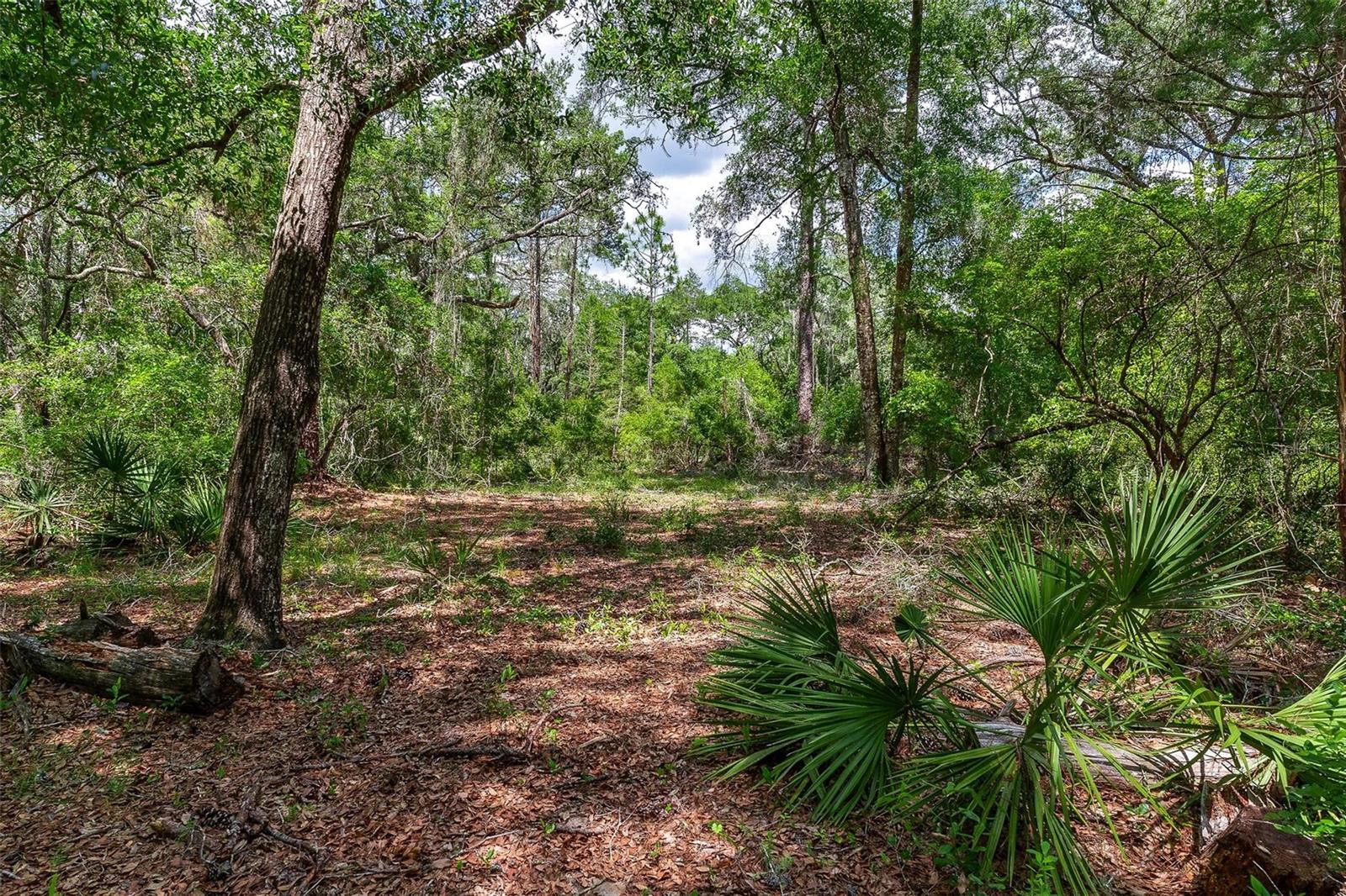 Se 152nd - Lot 16 (ravenswood Rd) Parcel B Pl Property Photo 3