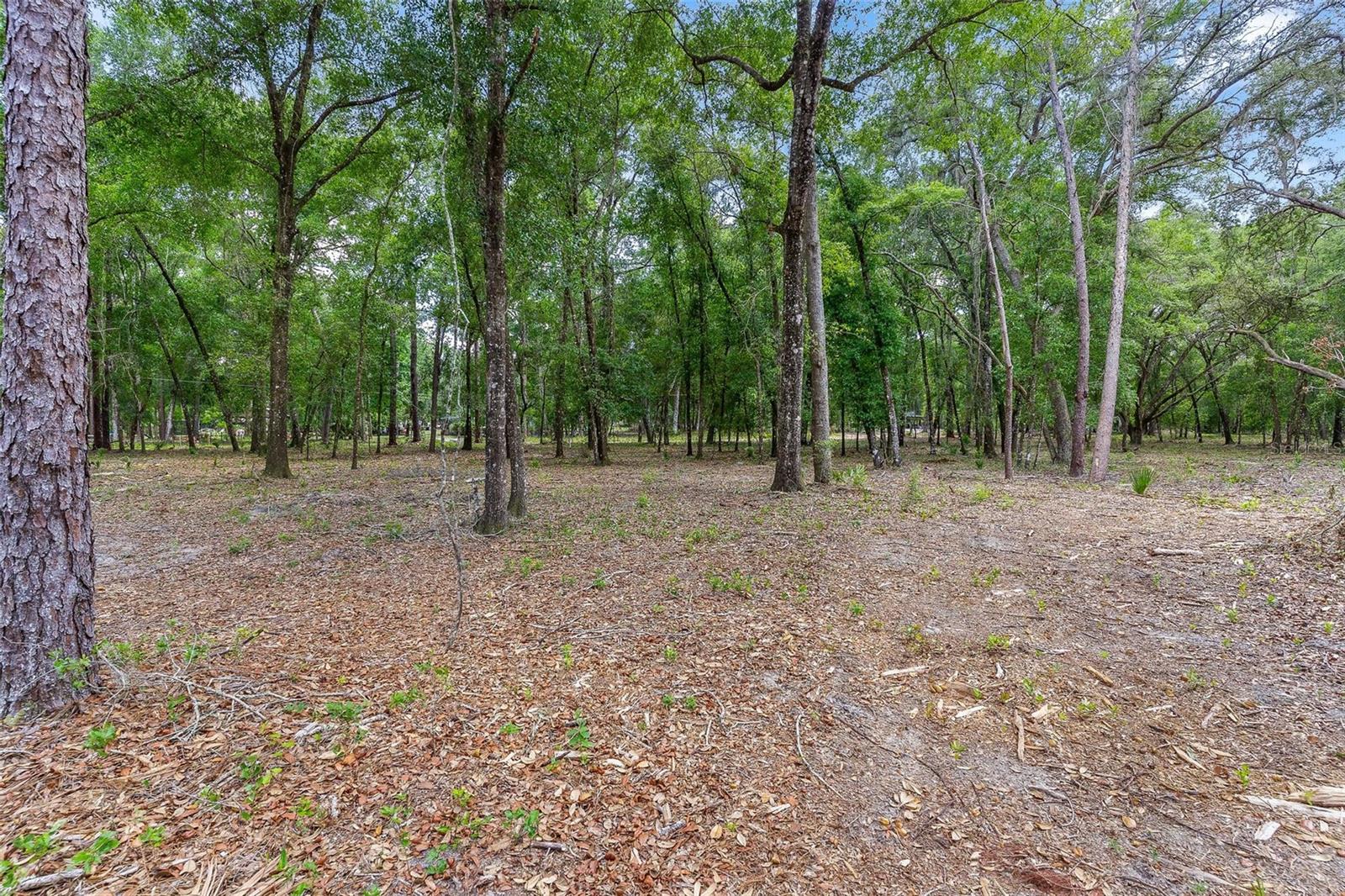 Se 152nd - Lot 16 (ravenswood Rd) Parcel B Pl Property Photo 4