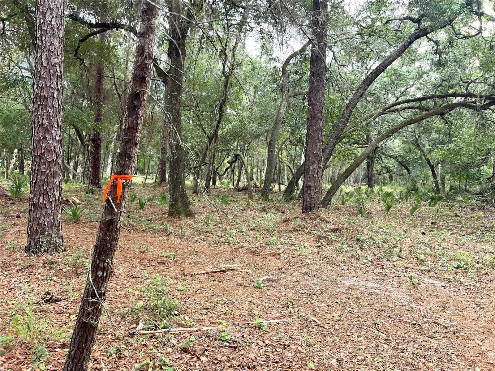 Se 152nd - Lot 16 (ravenswood Rd) Parcel B Pl Property Photo 7