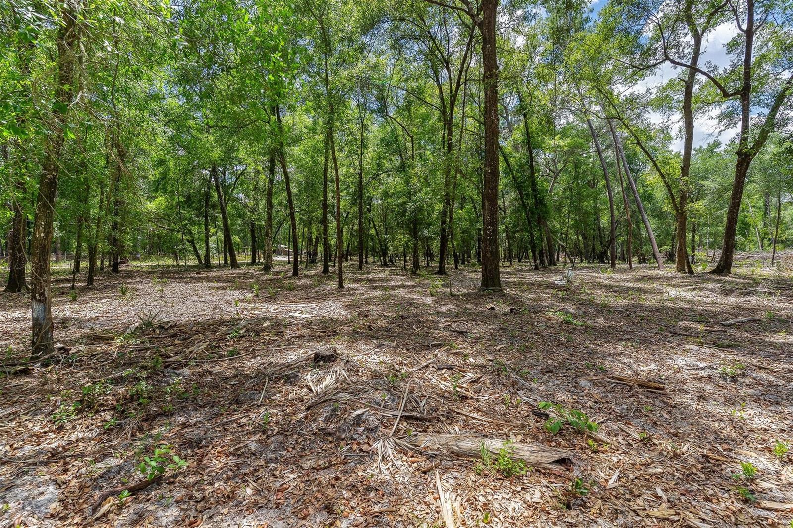 Se 152nd - Lot 16 (ravenswood Rd) Parcel B Pl Property Photo 10