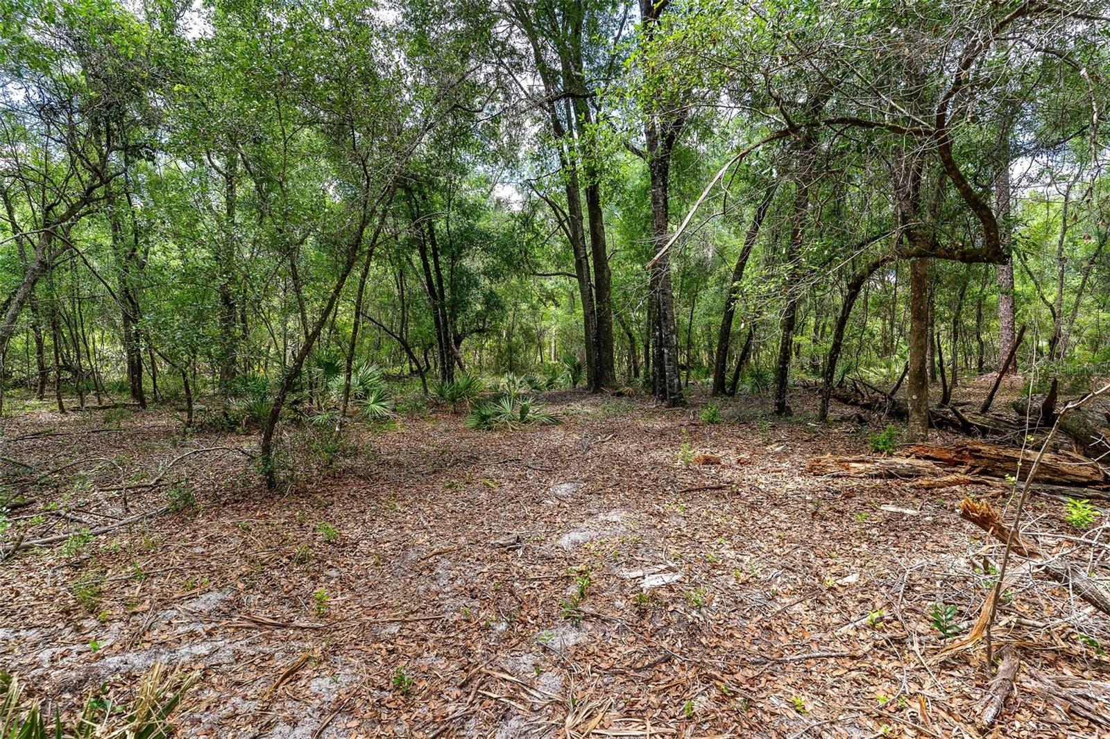 Se 152nd - Lot 16 (ravenswood Rd) Parcel B Pl Property Photo 14