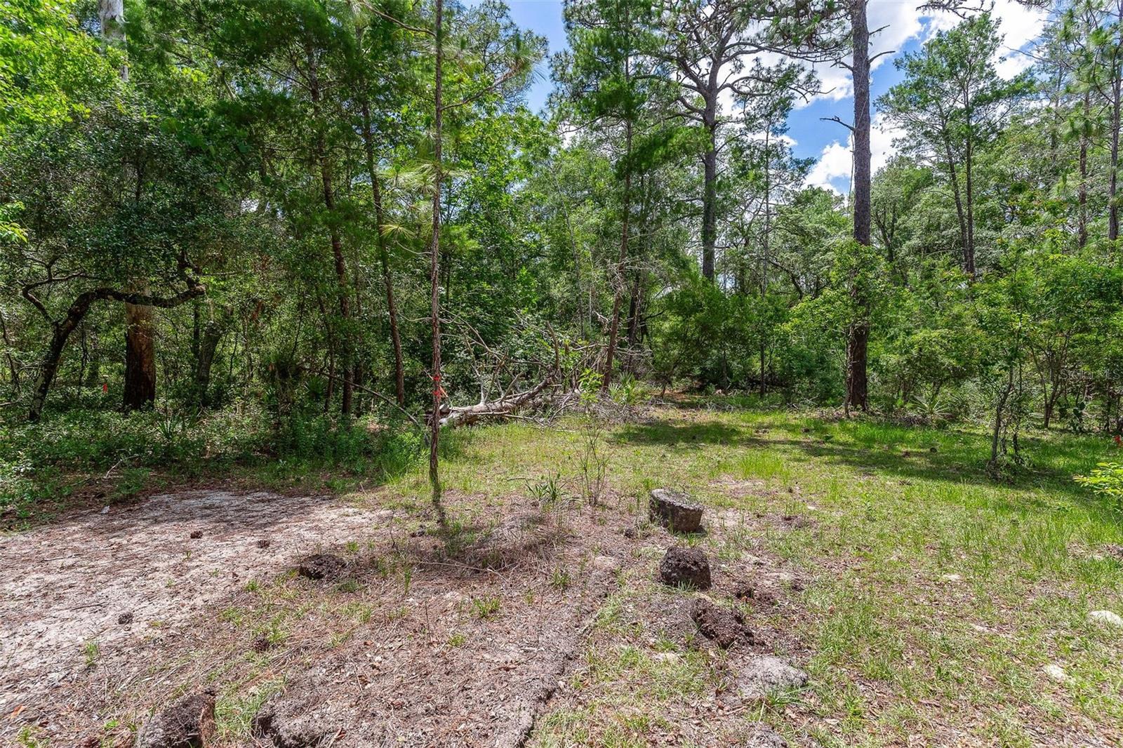 Se 152nd - Lot 16 (ravenswood Rd) Parcel B Pl Property Photo 16