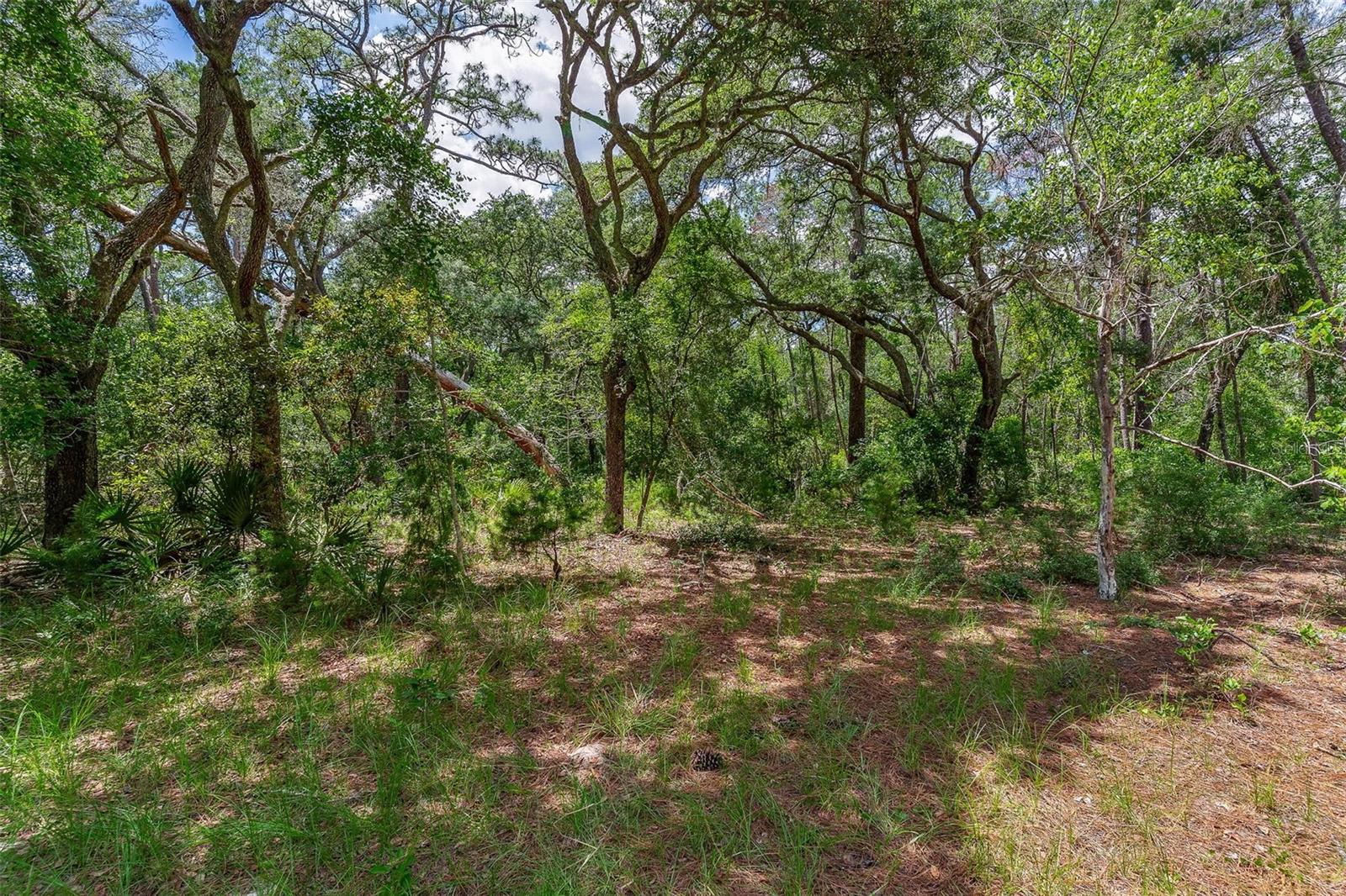 Se 152nd - Lot 16 (ravenswood Rd) Parcel B Pl Property Photo 17