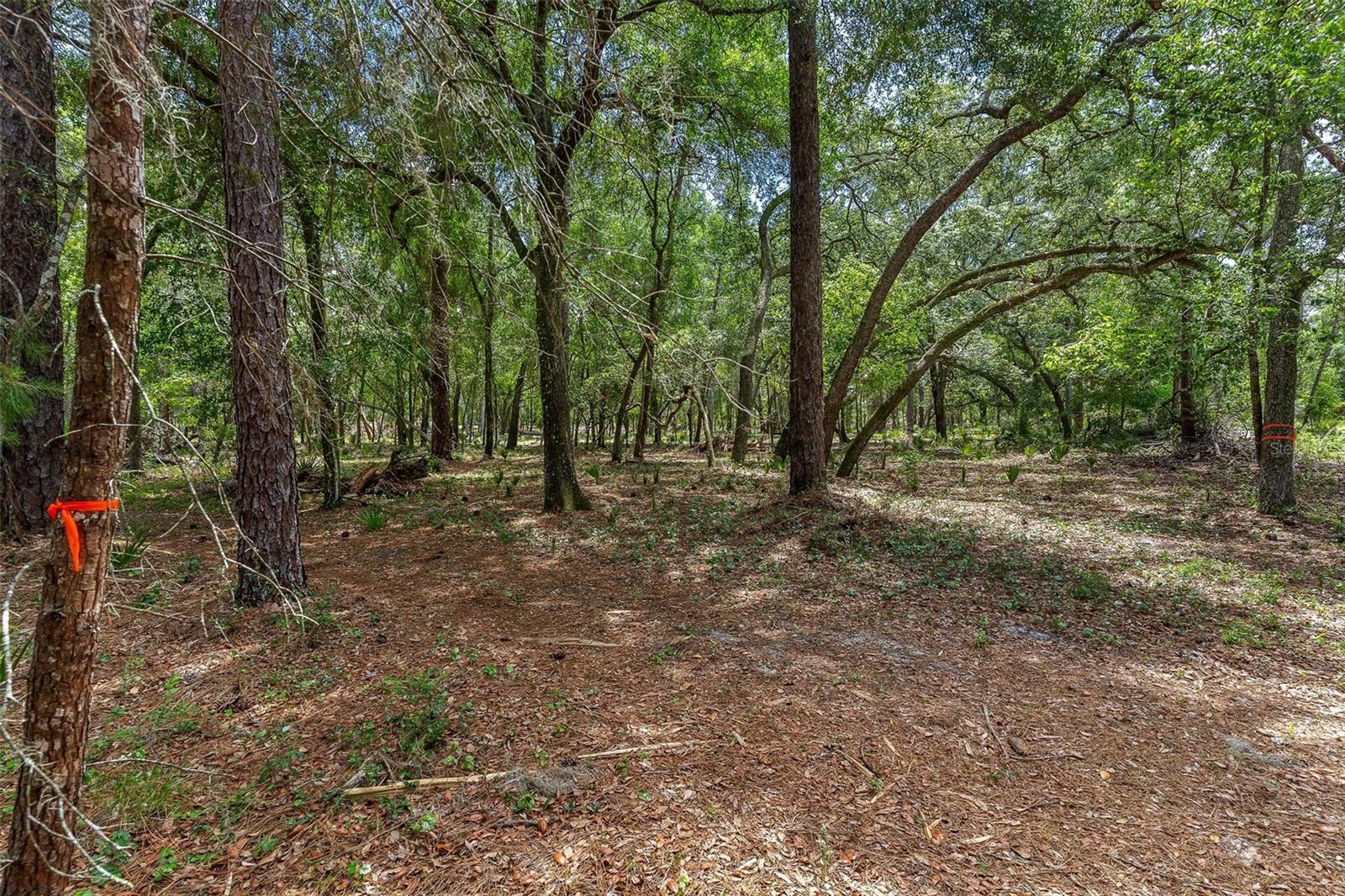 Se 152nd - Lot 16 (ravenswood Rd) Parcel B Pl Property Photo 21