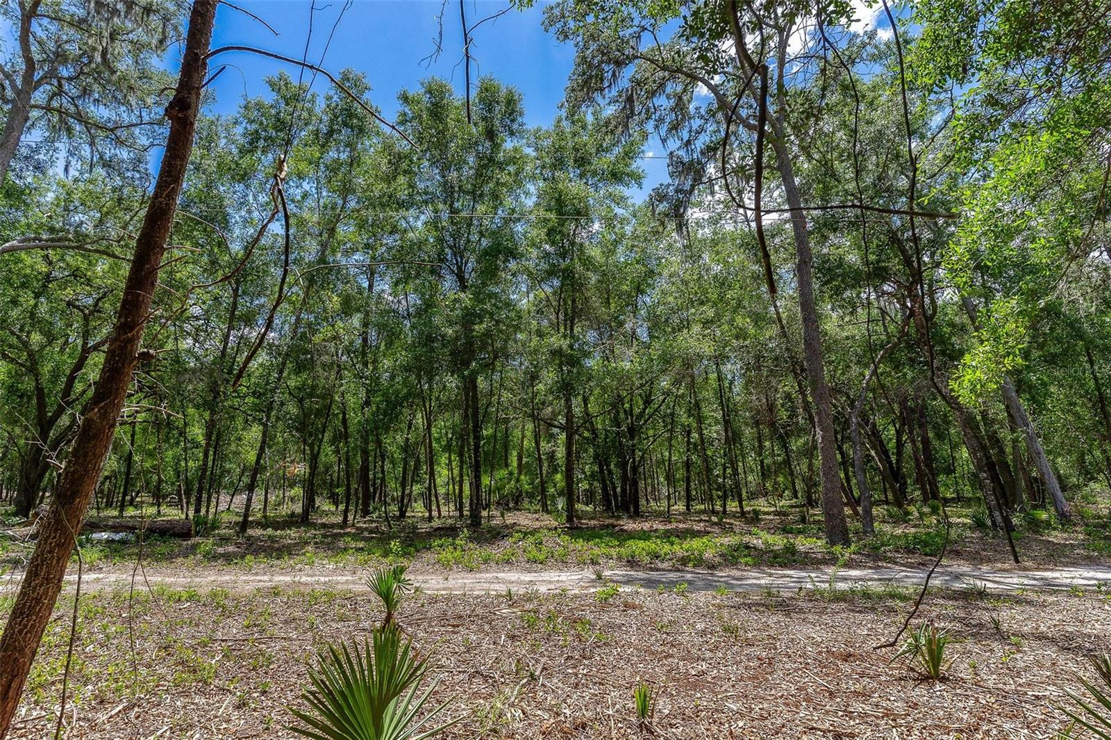 Se 152nd - Lot 16 (ravenswood Rd) Parcel B Pl Property Photo 23