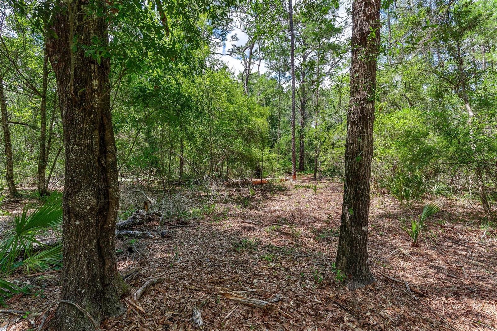 Se 152nd - Lot 16 (ravenswood Rd) Parcel B Pl Property Photo 24